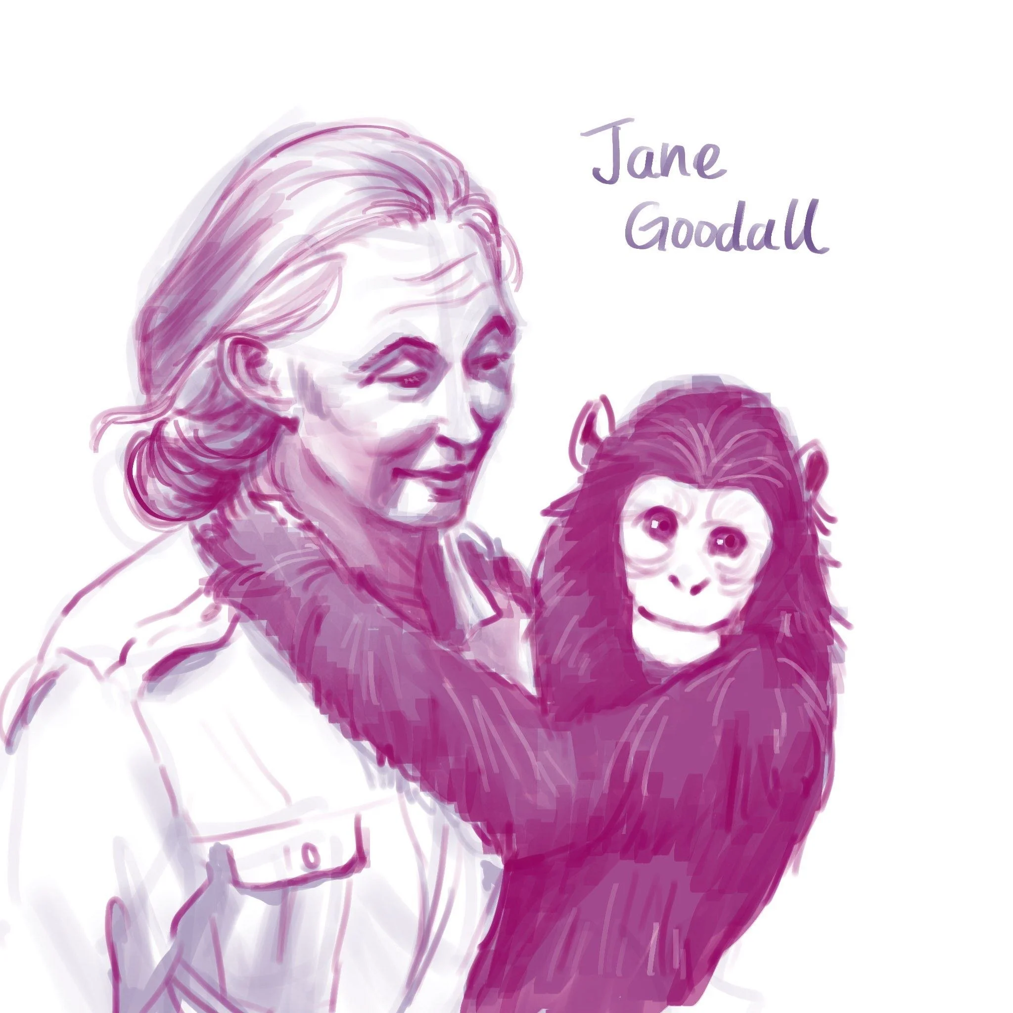 portrait_JaneGoodall_by_ShiviRastogi.jpg