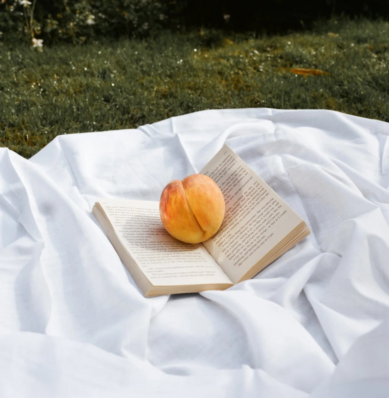 An open book resting on a white cloth with a peach placed on top, outdoors on grass.