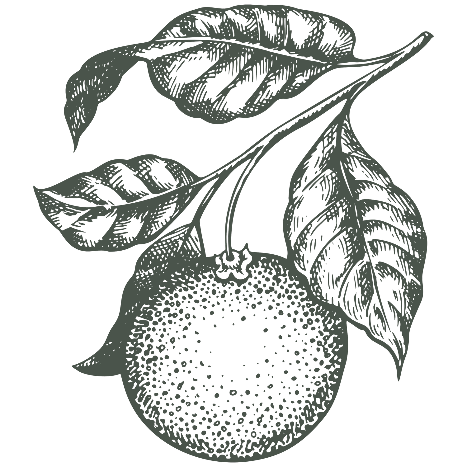 Grace Hunter Creative