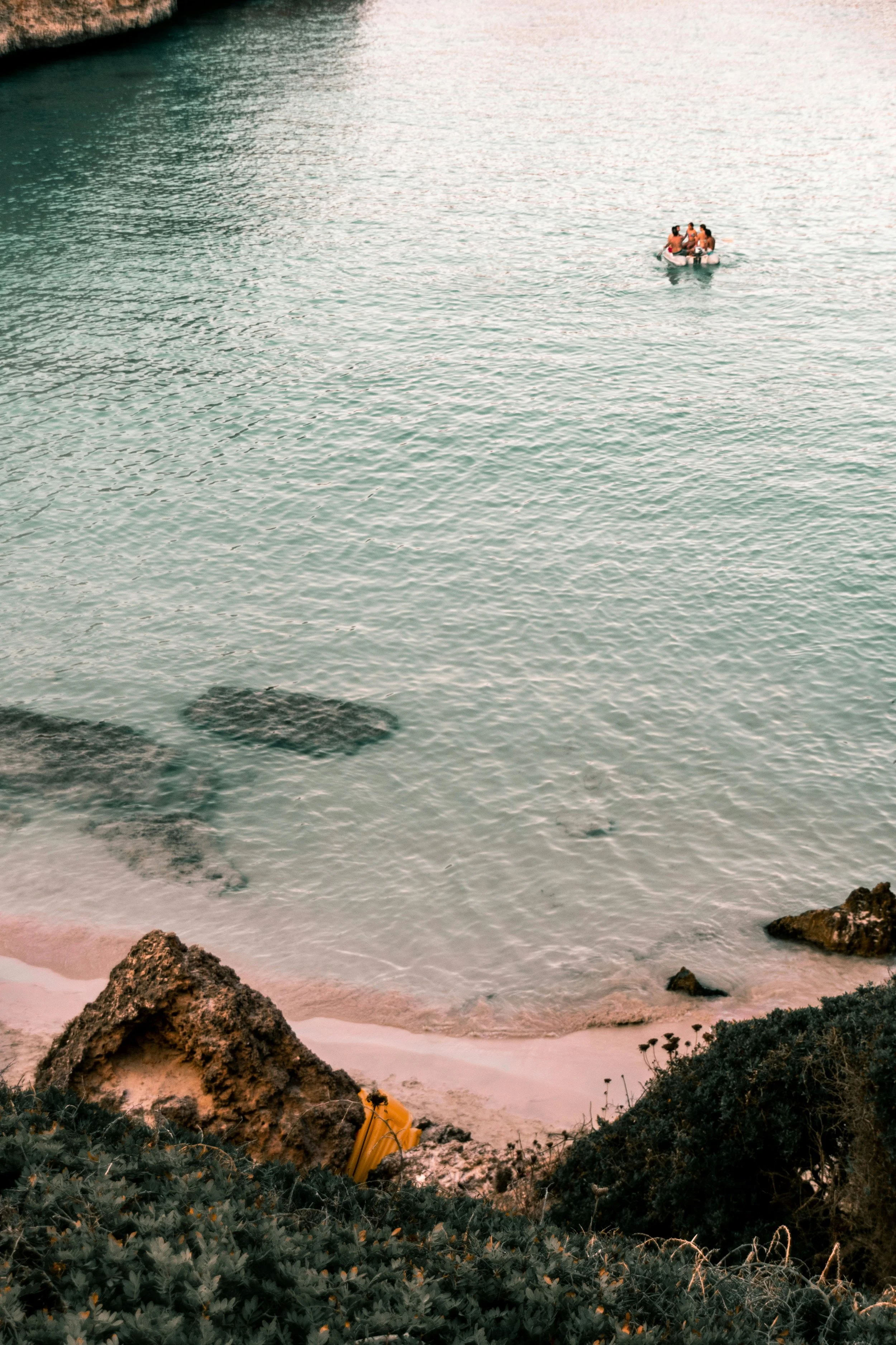 A small boat with four people on the water near a rocky shoreline with green bushes.