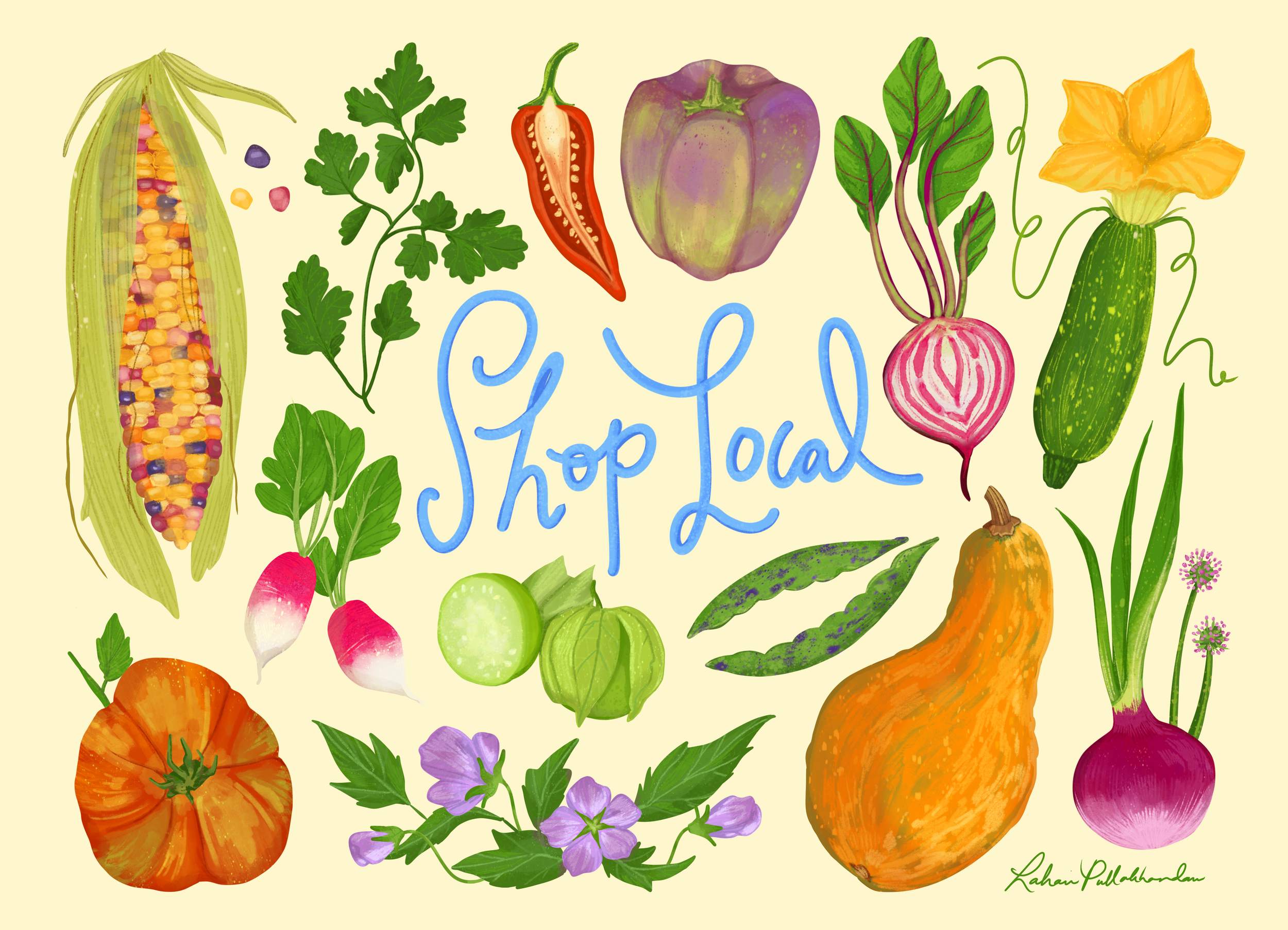 RBFM Tote Illustration.png