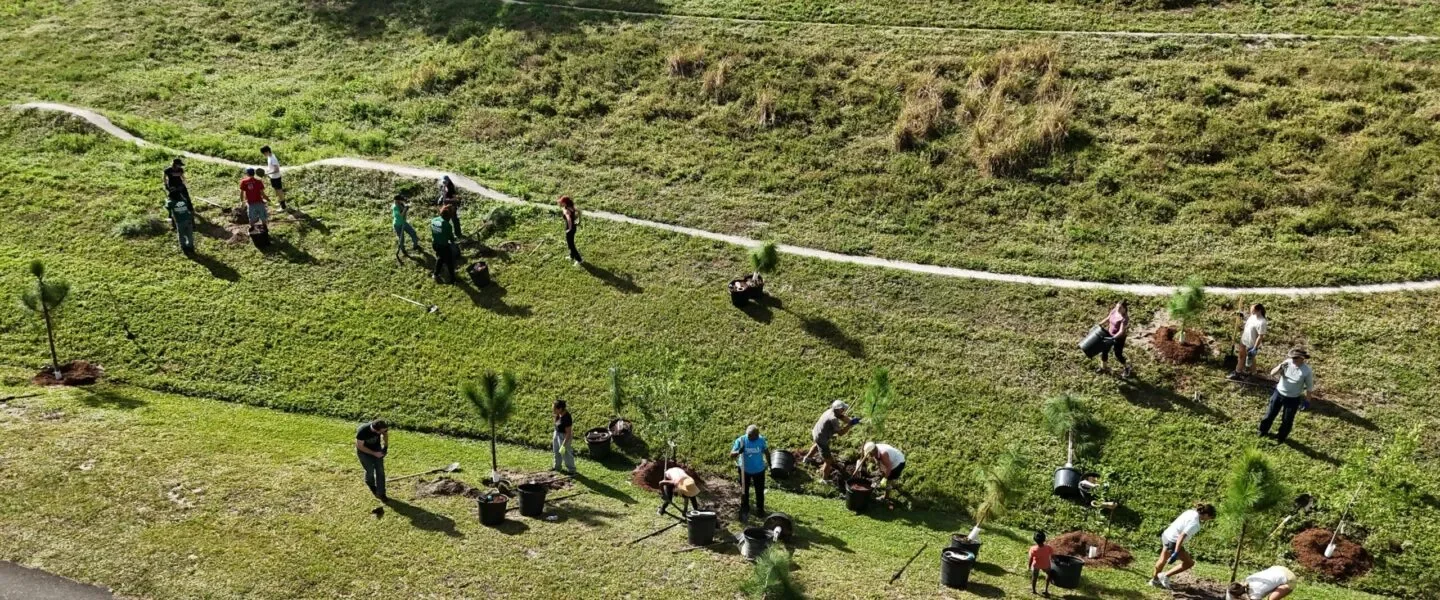 Dyer Park Tree Planting Community Service 