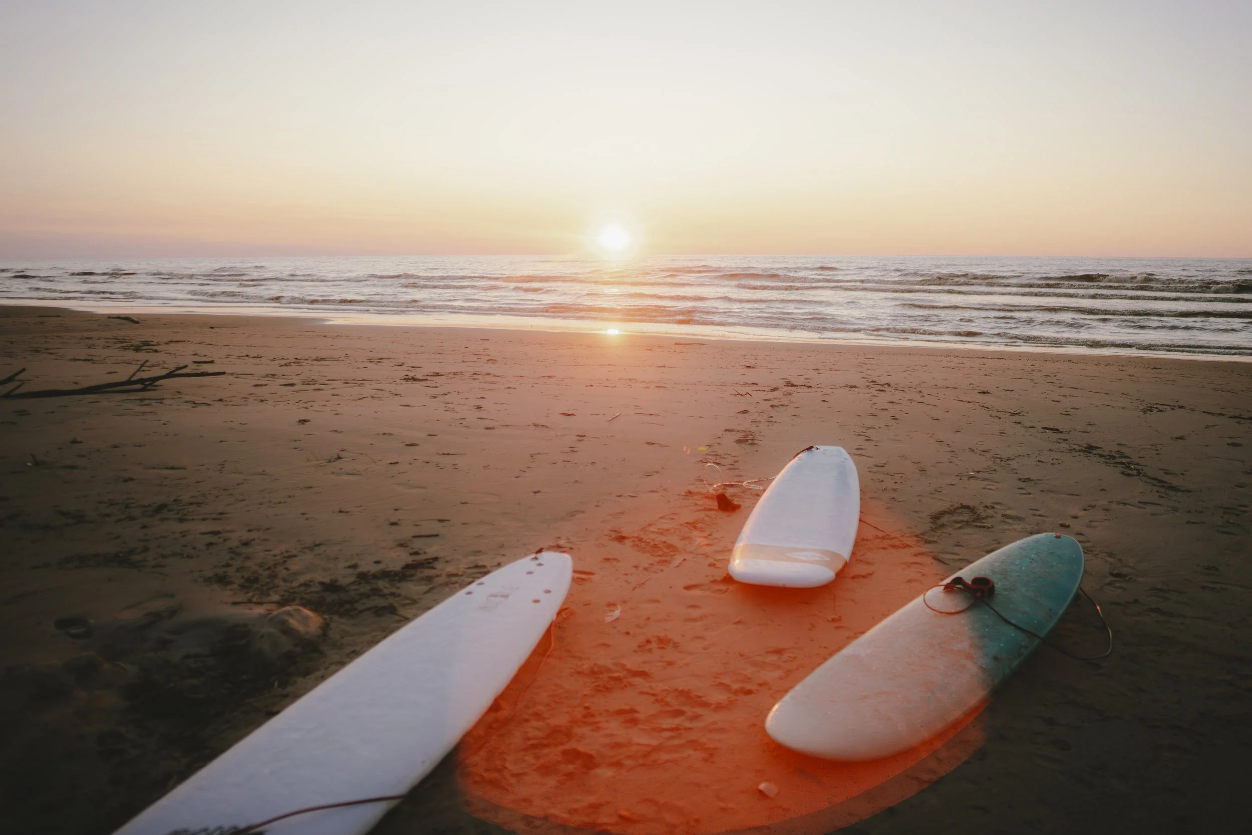 Beginner Surf Workshop