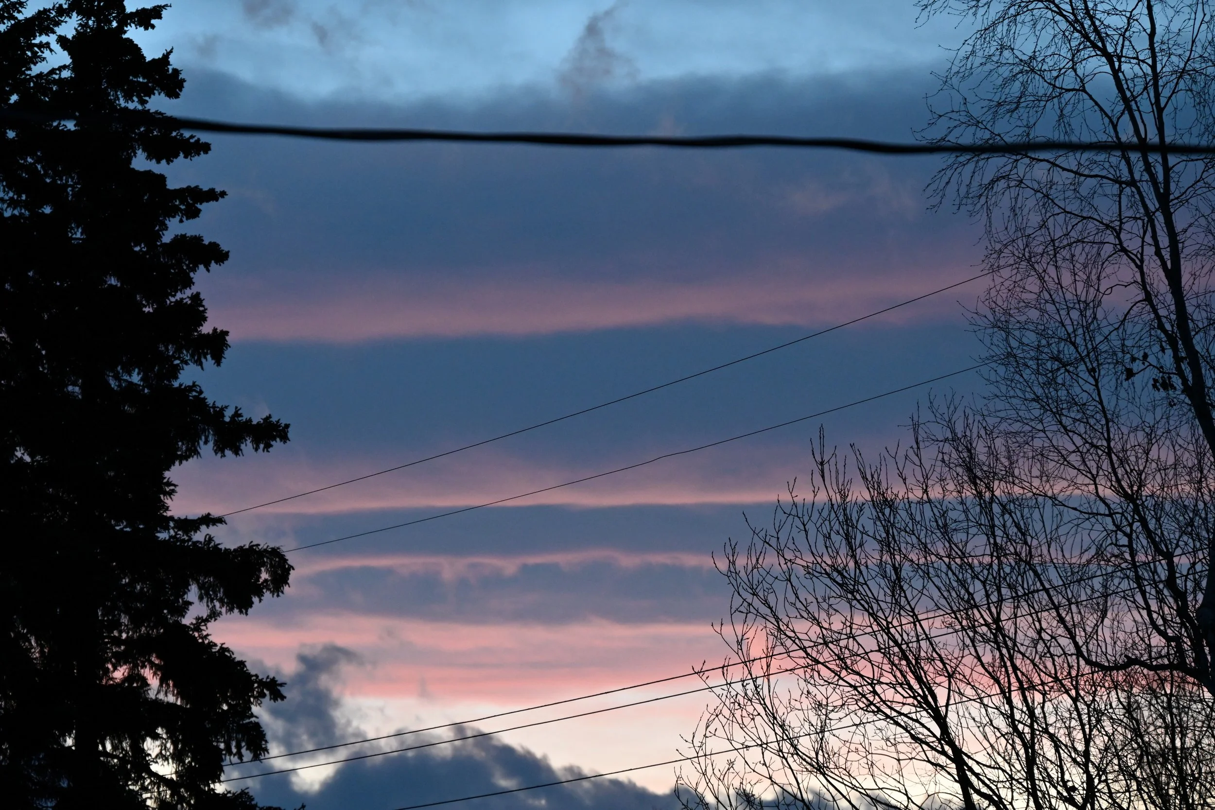 Colorful sunset sky with pink and blue hues, silhouetted trees with bare branches, and power lines crossing the scene.