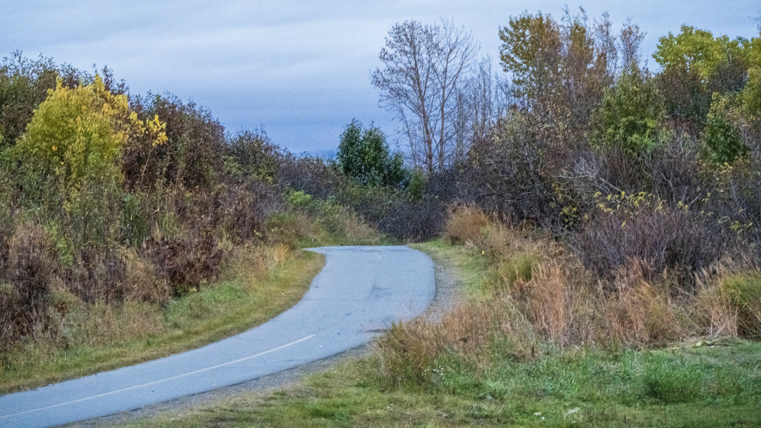 A winding narrow country road surrounded by trees and shrubs with autumn foliage, under a cloudy sky.