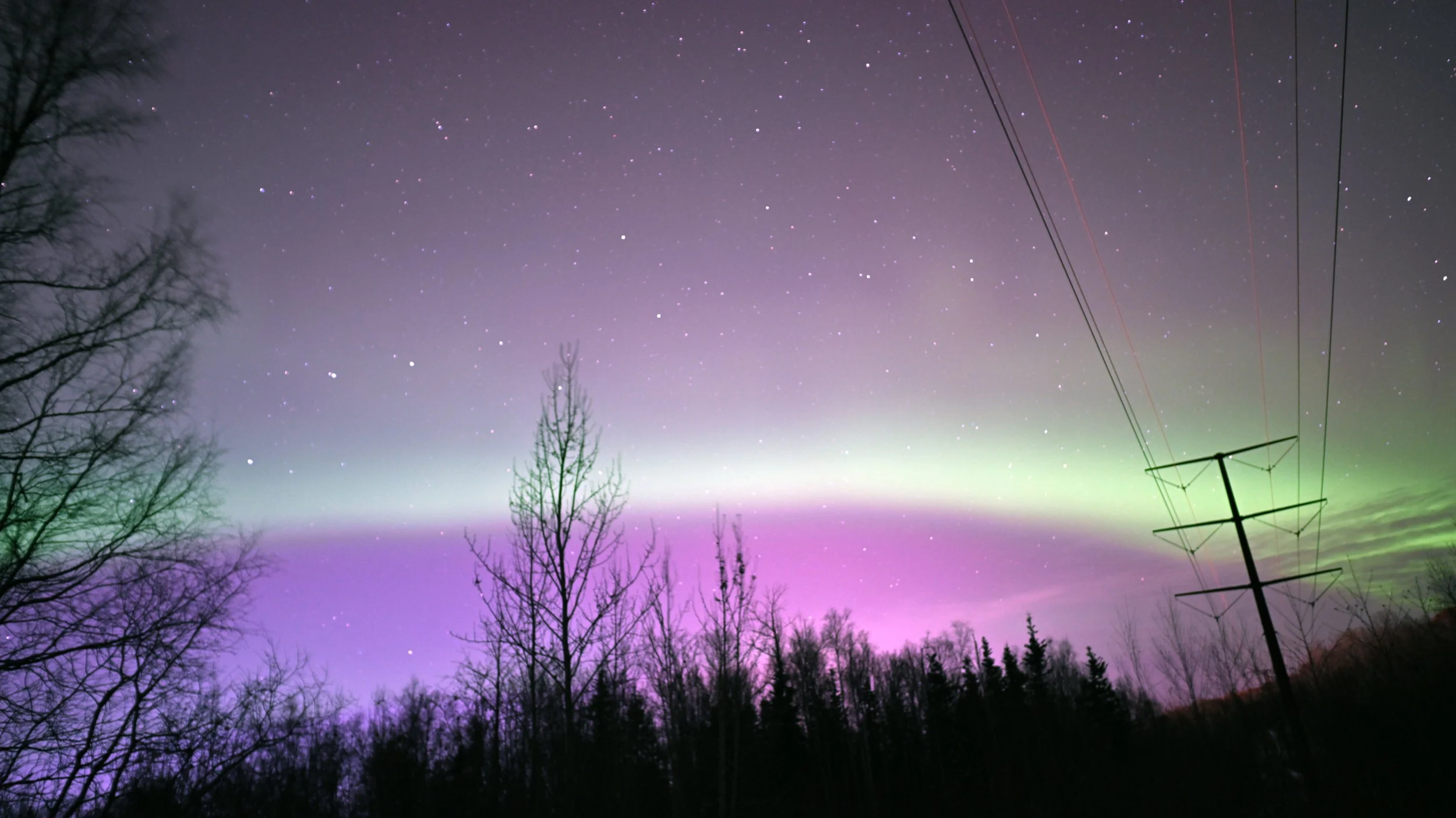 Night sky with stars and aurora borealis over silhouettes of trees and power lines.