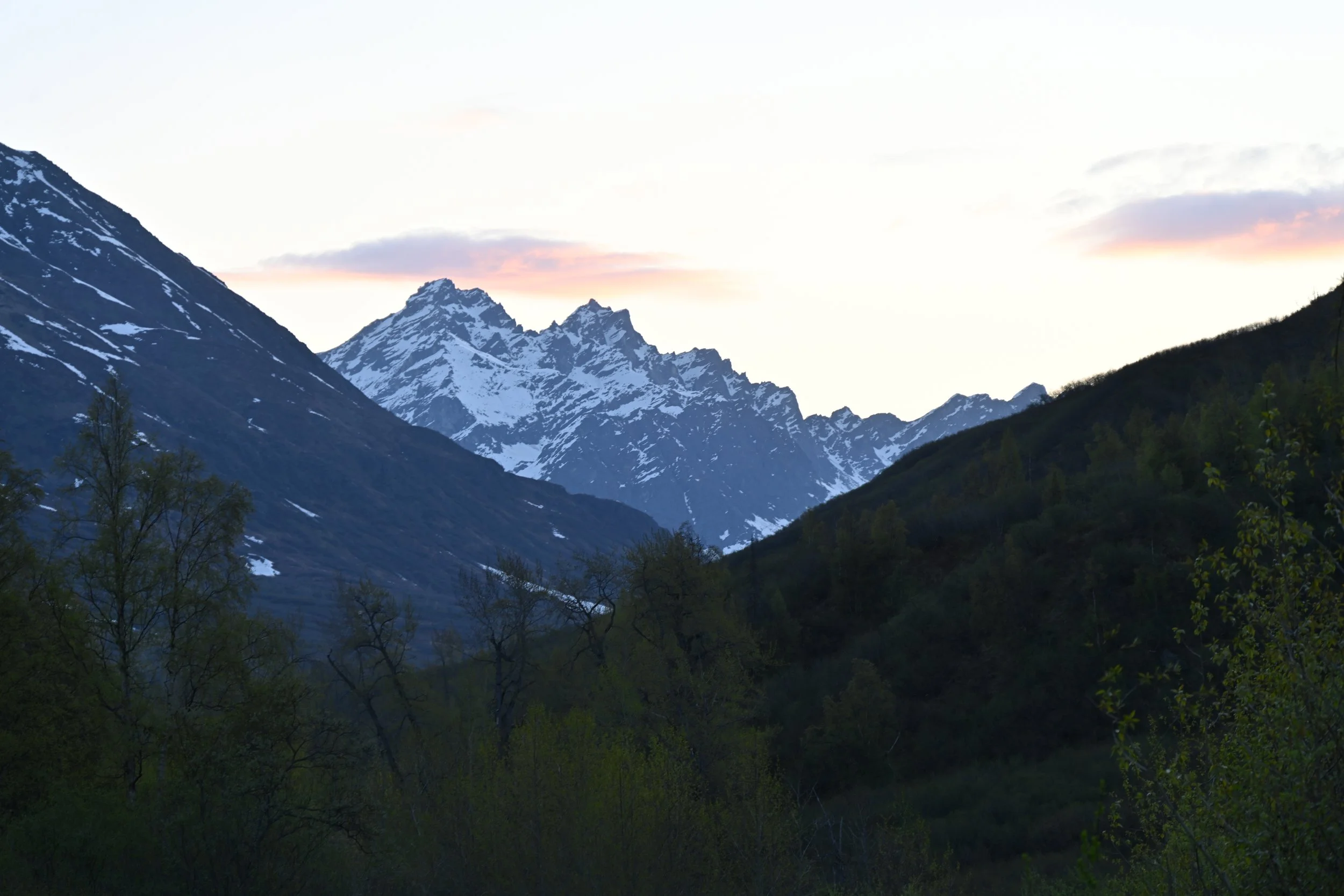 Snow-capped mountains at sunset with forested hills in the foreground