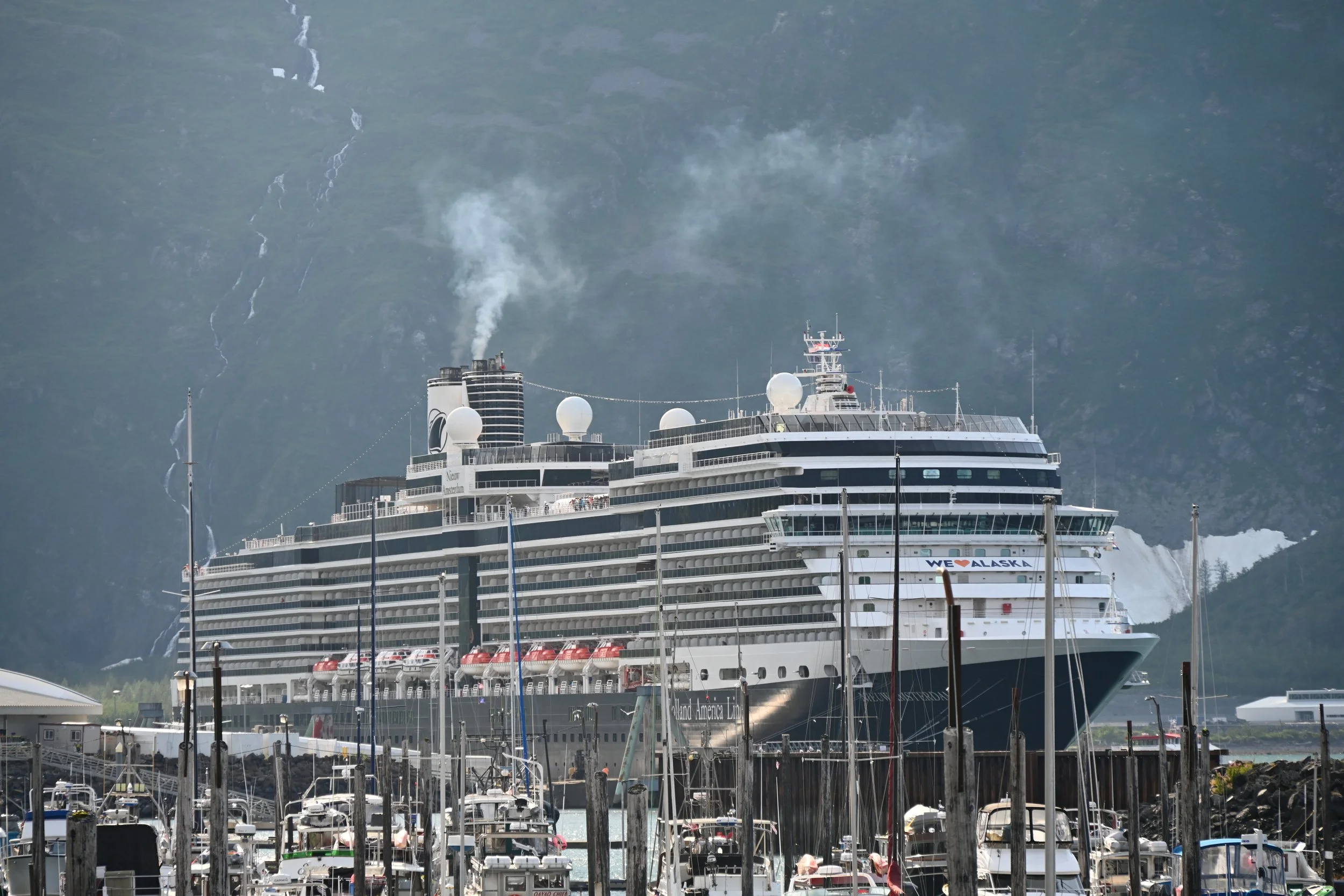 A large cruise ship docked at a port with many smaller boats and yachts in the foreground and a mountainous landscape in the background.
