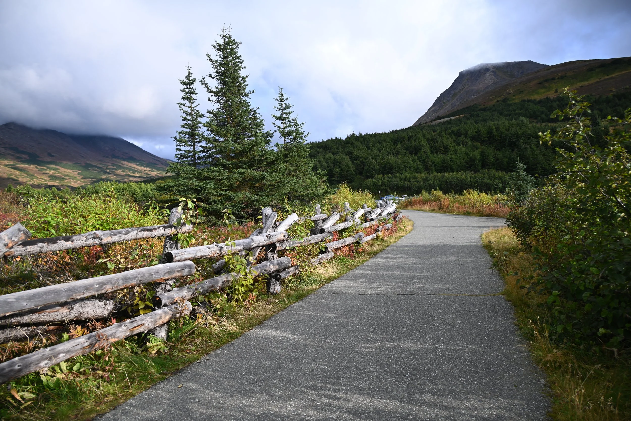A winding paved road through a green landscape with a rustic wooden fence on the left, tall pine trees, and mountain scenery in the background under a partly cloudy sky.