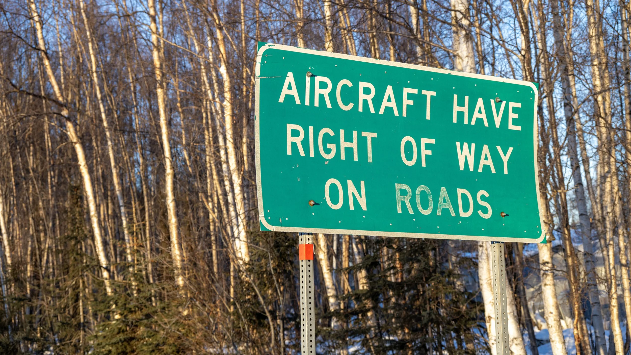 Green highway sign indicating that aircraft have right of way on roads, with a background of leafless trees and a clear sky.