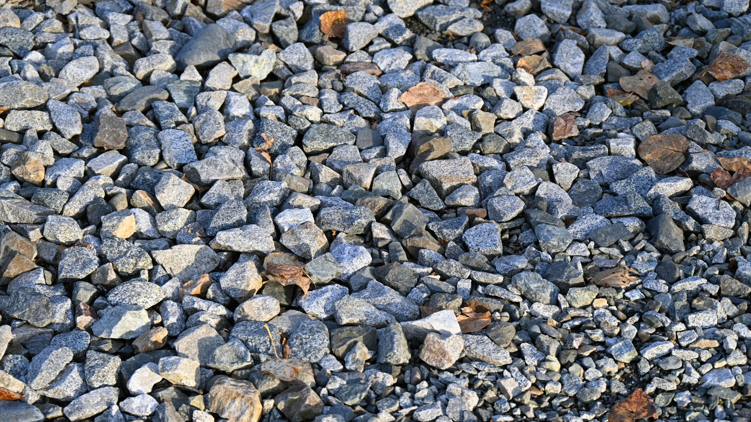 Close-up of a ground covered with small gray and black rocks with a few dry brown leaves scattered among them.