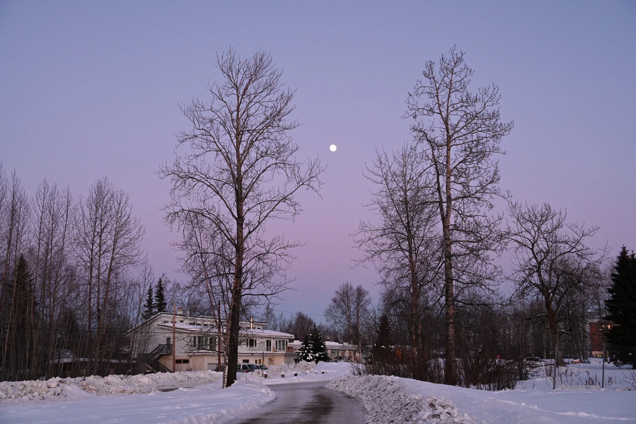 Snow-covered residential street with leafless trees, houses in the background, and a visible moon in the sky at dawn or dusk.