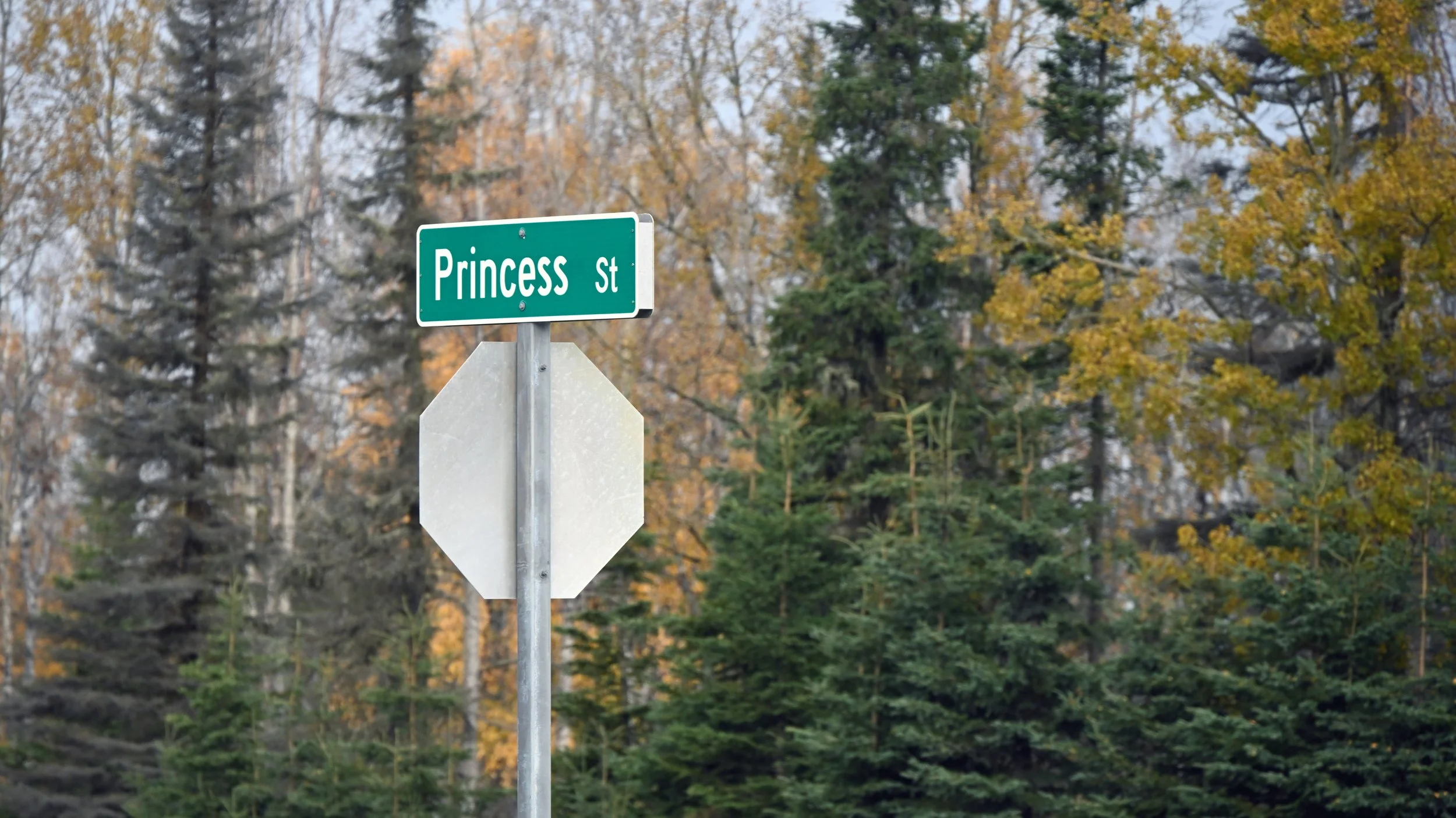 Street sign reading 'Princess St' with a background of trees with autumn foliage.