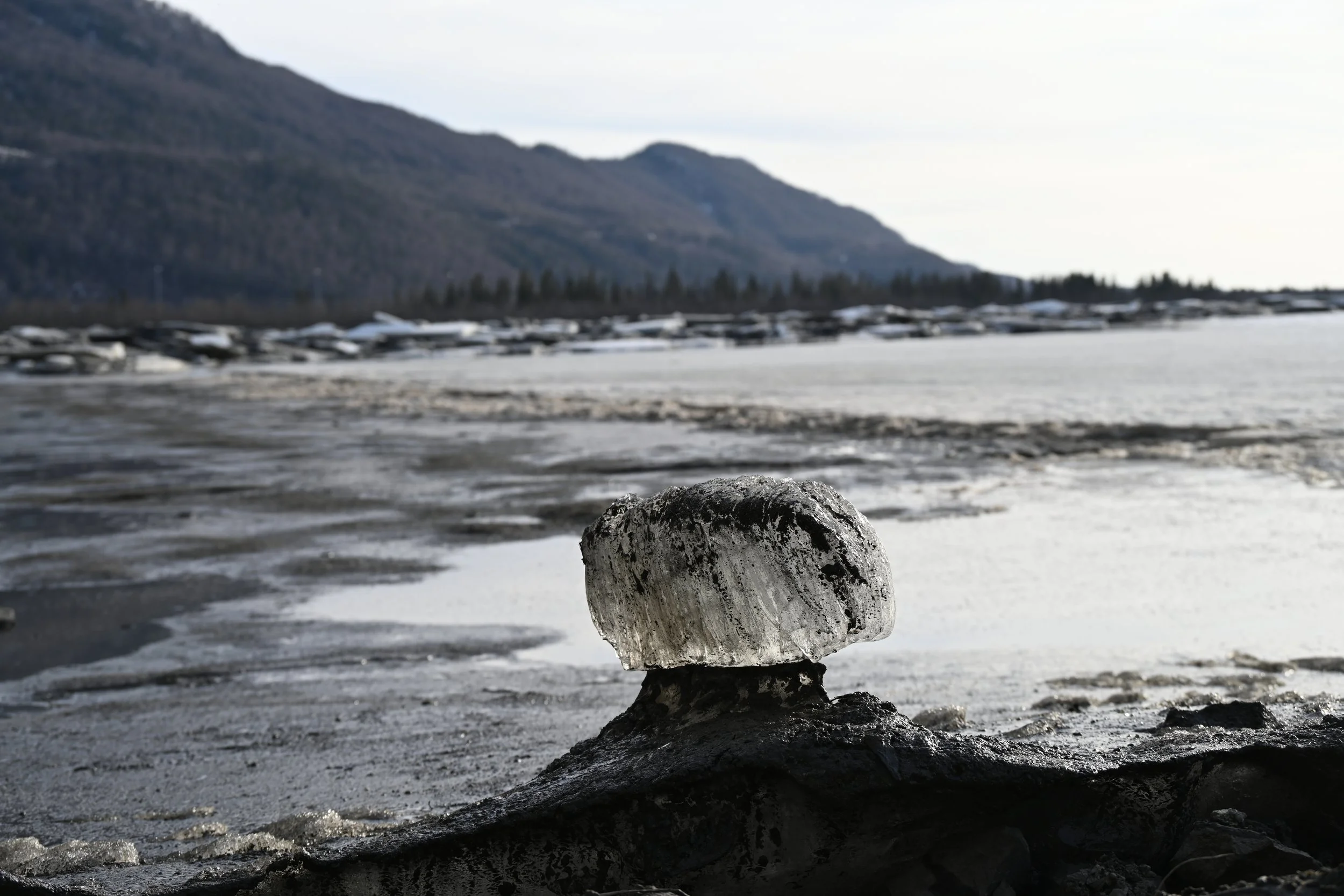 A close-up of a small, rounded rock balanced on a larger dark rock on a beach with a snow-covered shoreline and distant mountains in the background.