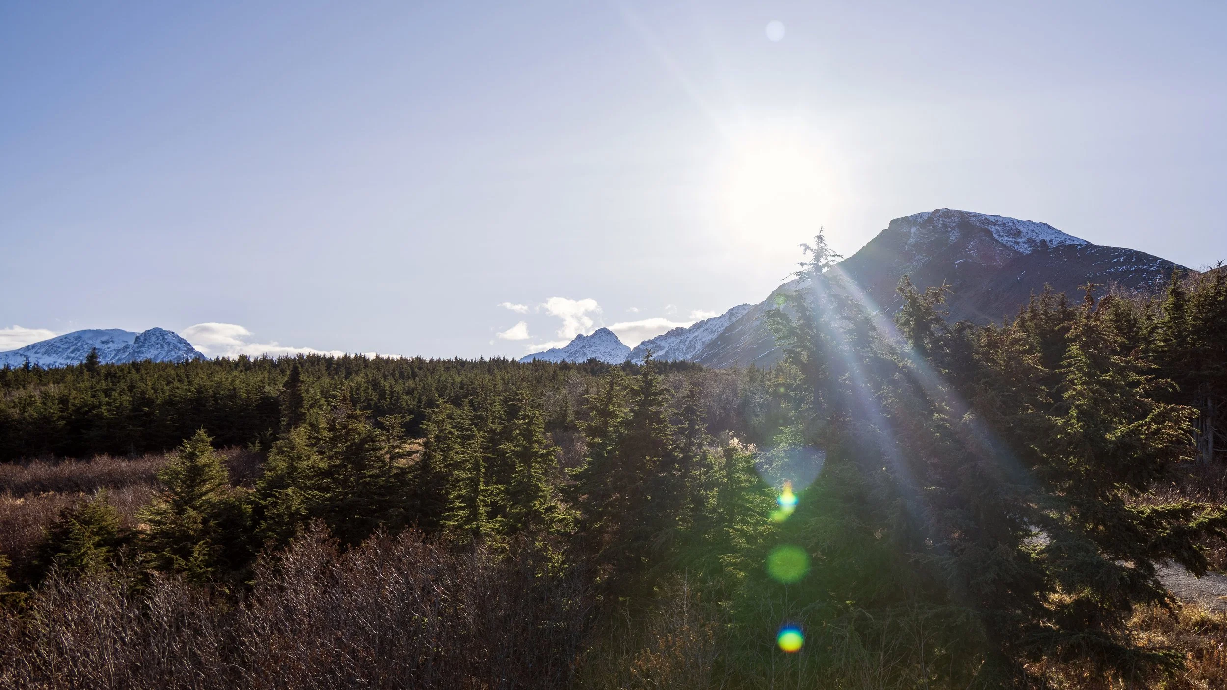 Sun shining over snow-capped mountains behind a dense forest with evergreen trees in the foreground.