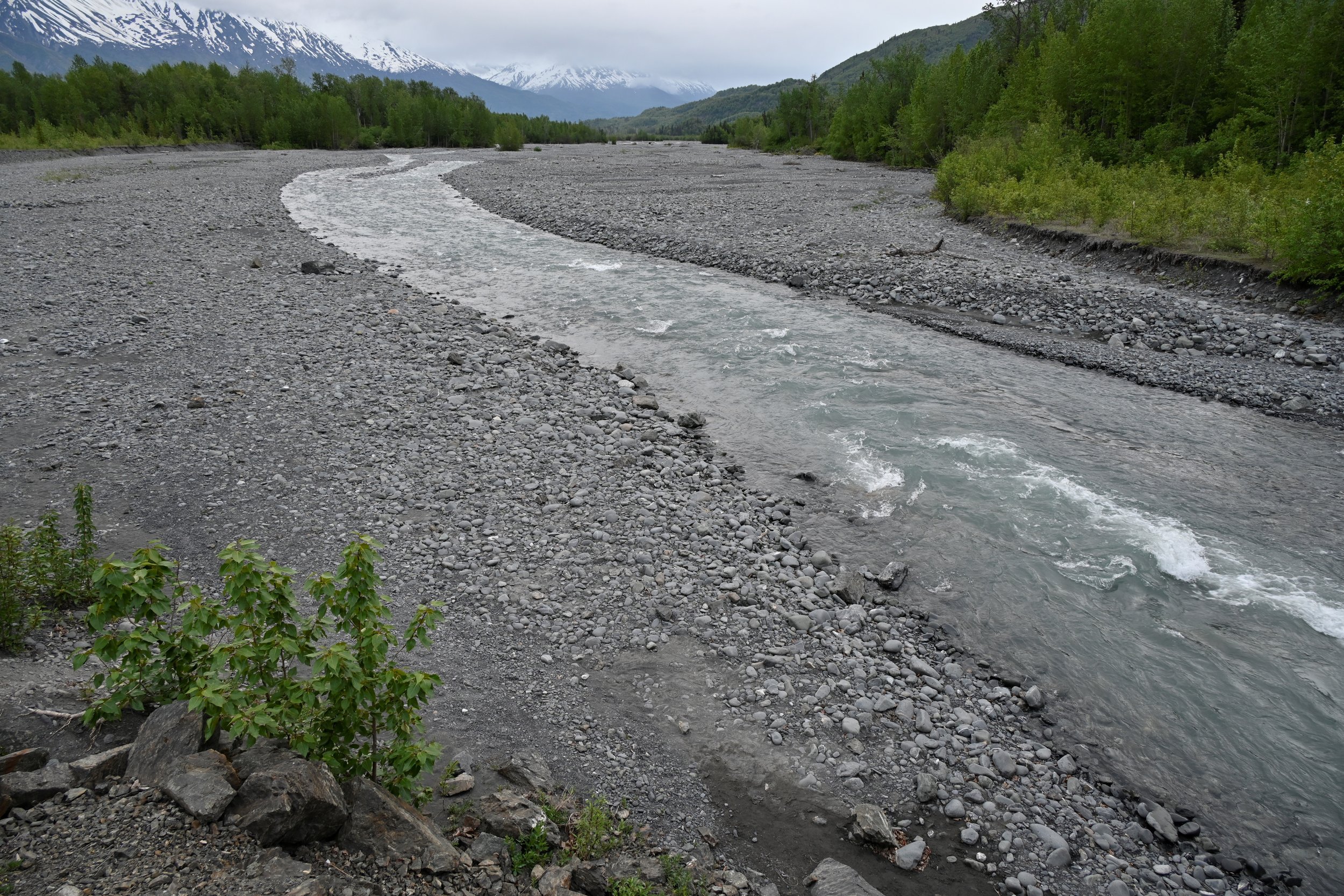 A river flowing through a rocky landscape with green trees on both sides, snow-capped mountains in the background, overcast sky.