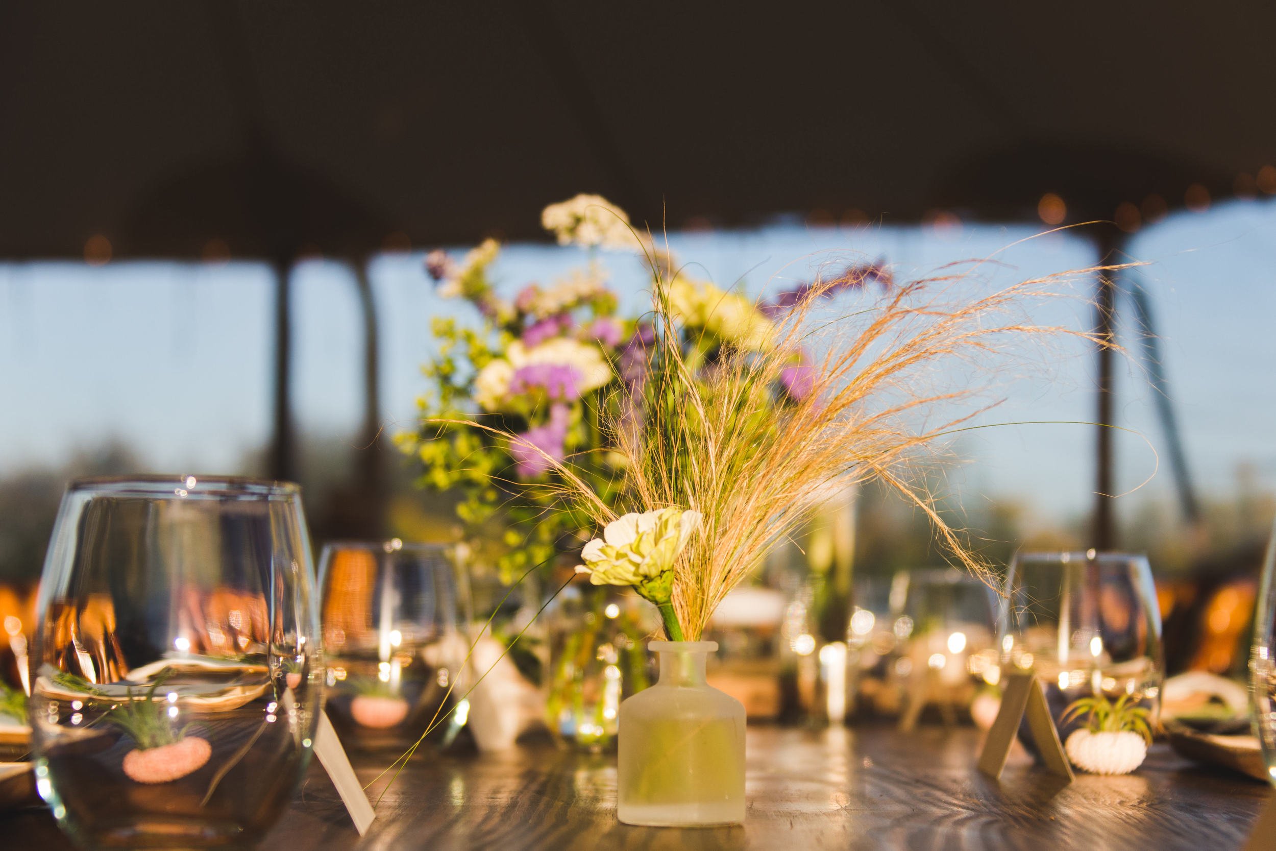 Rebecca_Rodrigo_Wedding+(127+of+43).jpg