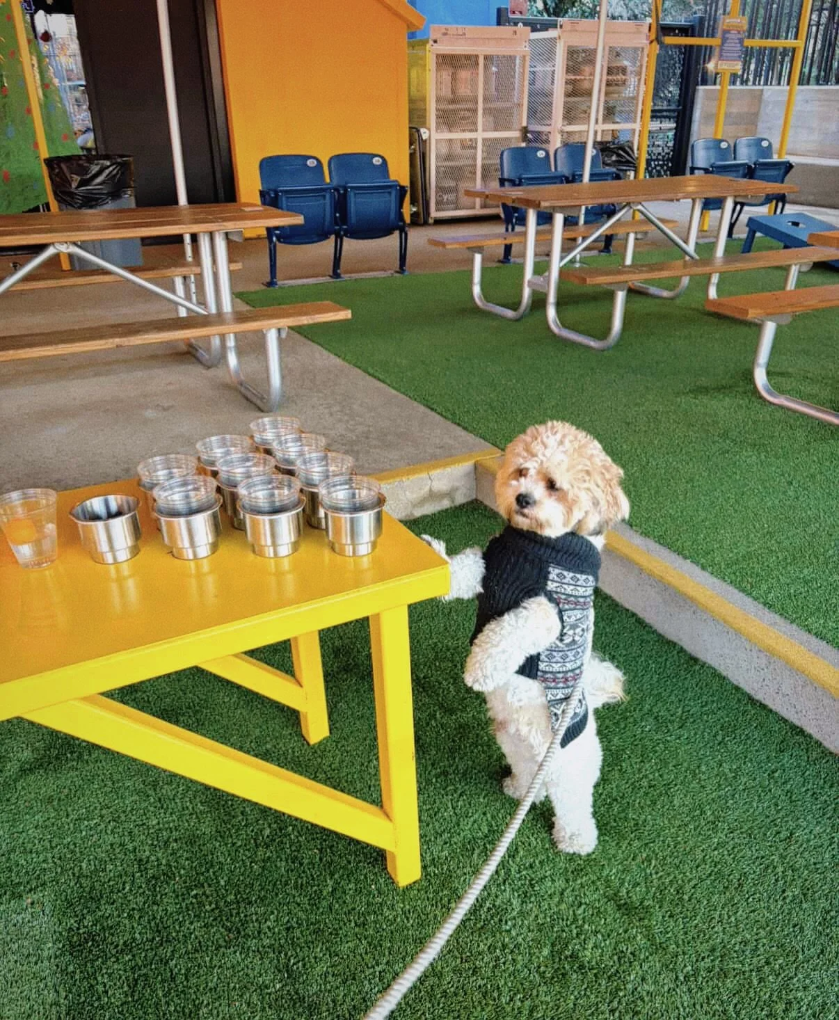 Who got next game?! 🍺🐾

Come play!