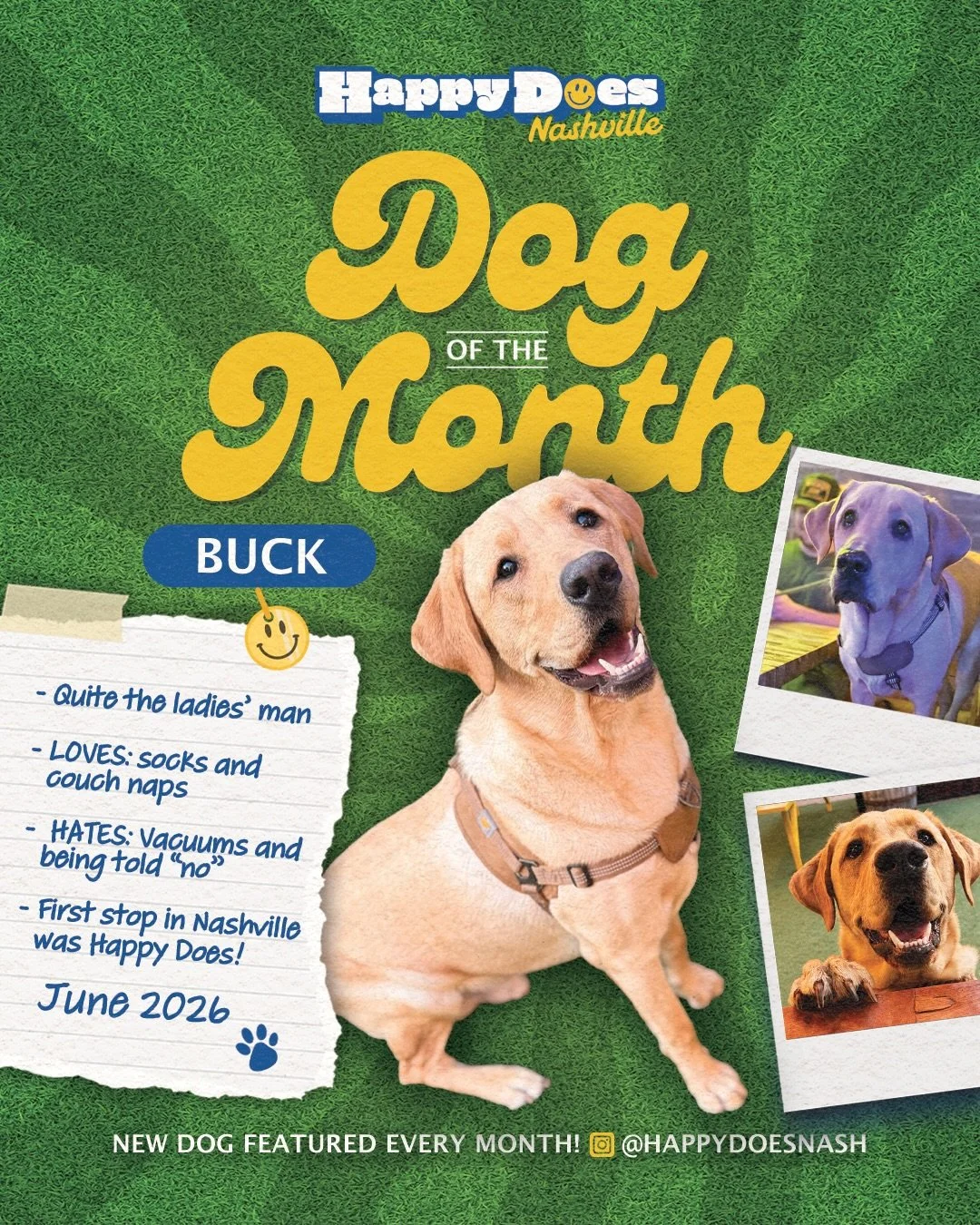 BUCK yes, our Dog of the Month is a certified cutie and double certified lover boy! 🐶💛 You can find him taking a cuddly nap on the couch or giving his signature puppy face when he doesn&rsquo;t get his way. We love that he made us his first stop in