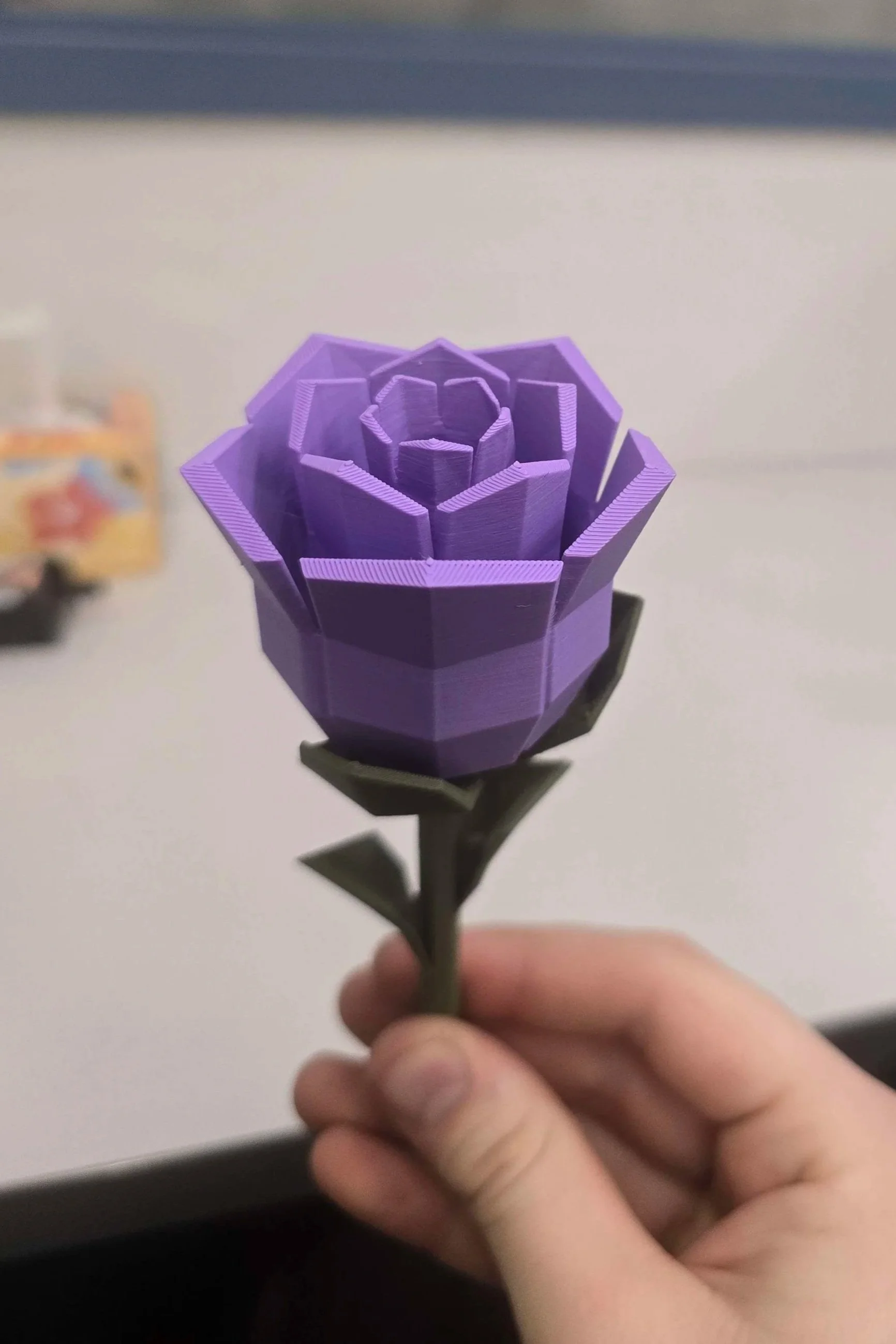 20250217_171906.jpg