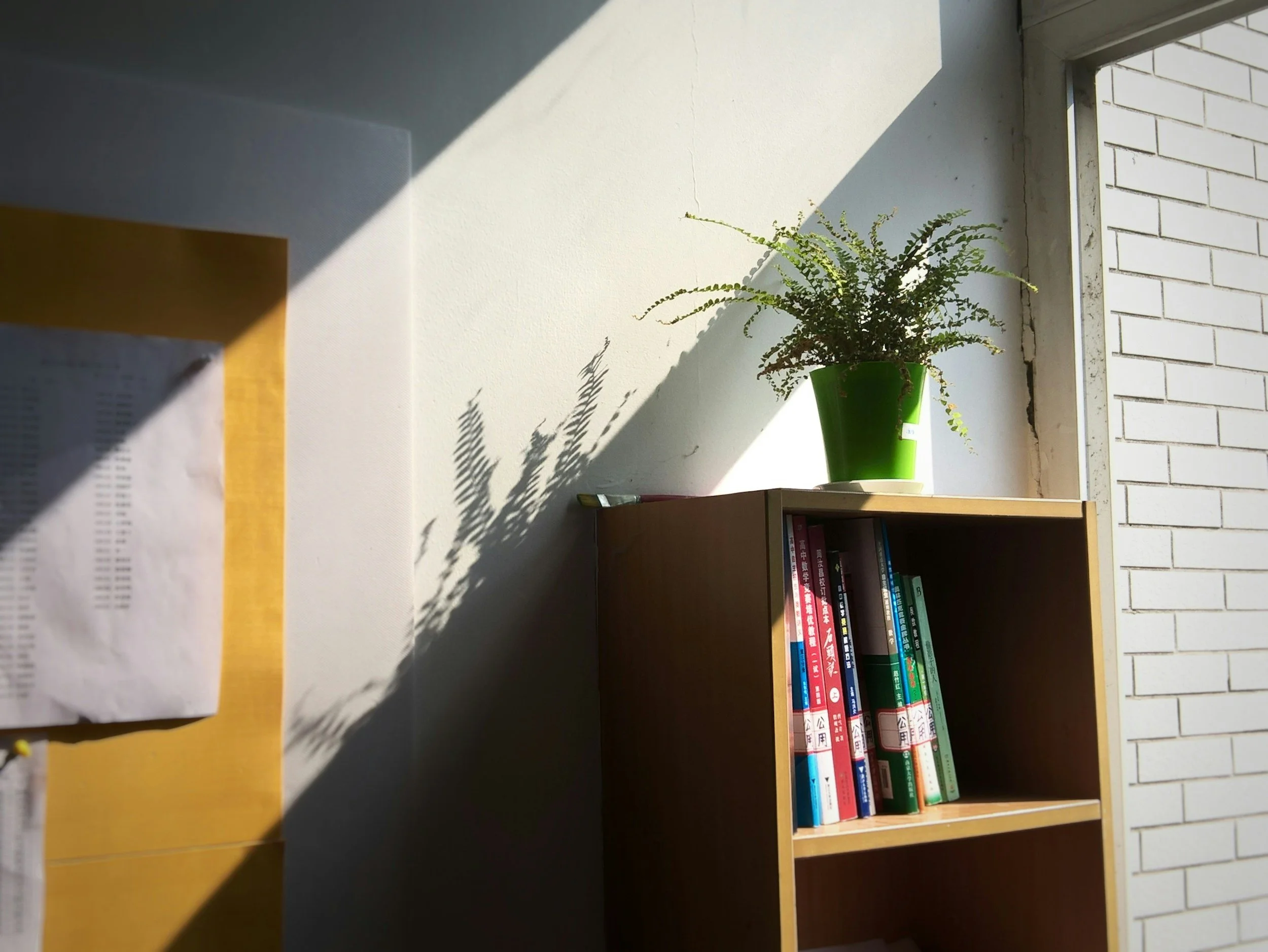 Staying Positive and Strong: Owning Your Skills and Abilities