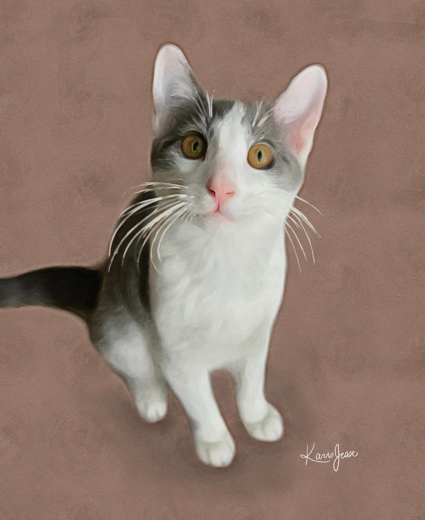 Pet portrait of @trevor.stutzman ‘s handsome kitty Oswald!