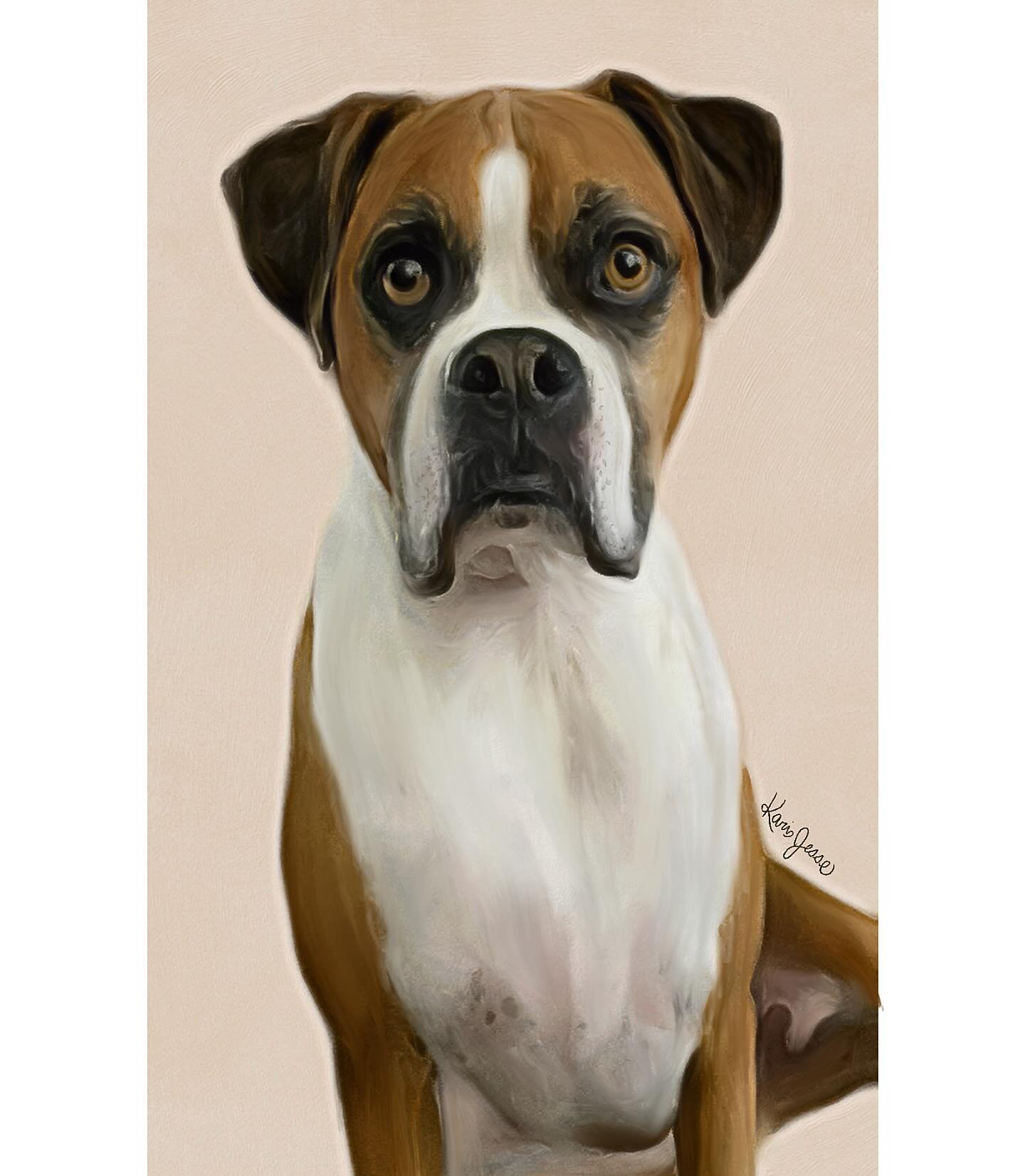 Pet portrait of Lucy! @embcox 🤍🐶🐾