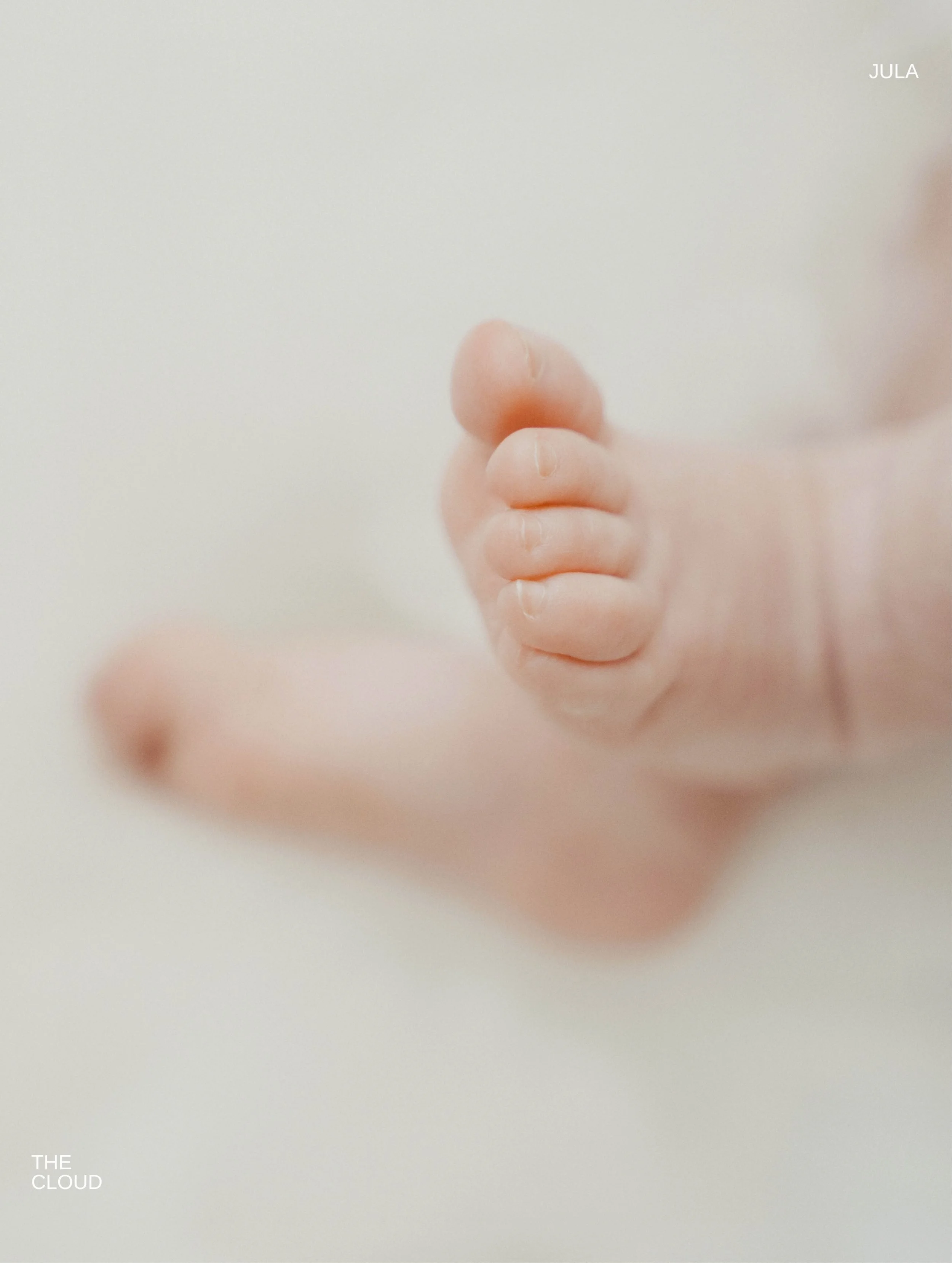 Capturing softness in a season that passes way too quickly 💭

&bull;

#newbornshoot #newbornfotografie #newbornstudioshoot #newbornfotograaf #fineartnewborn
