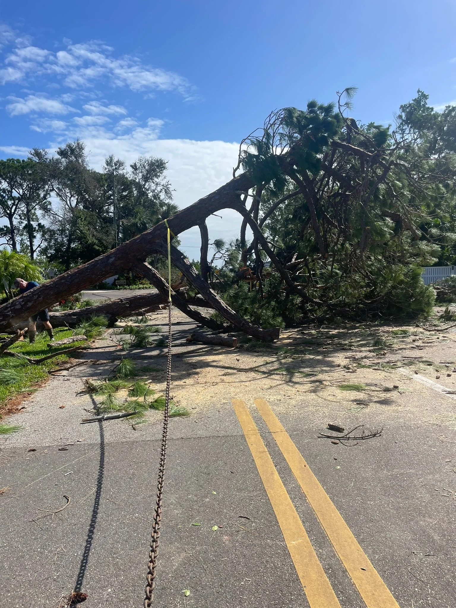 A large tree has fallen across a road, blocking both lanes. Debris and broken branches are scattered on the pavement. A person is seen in the background, and the sky is partly cloudy.