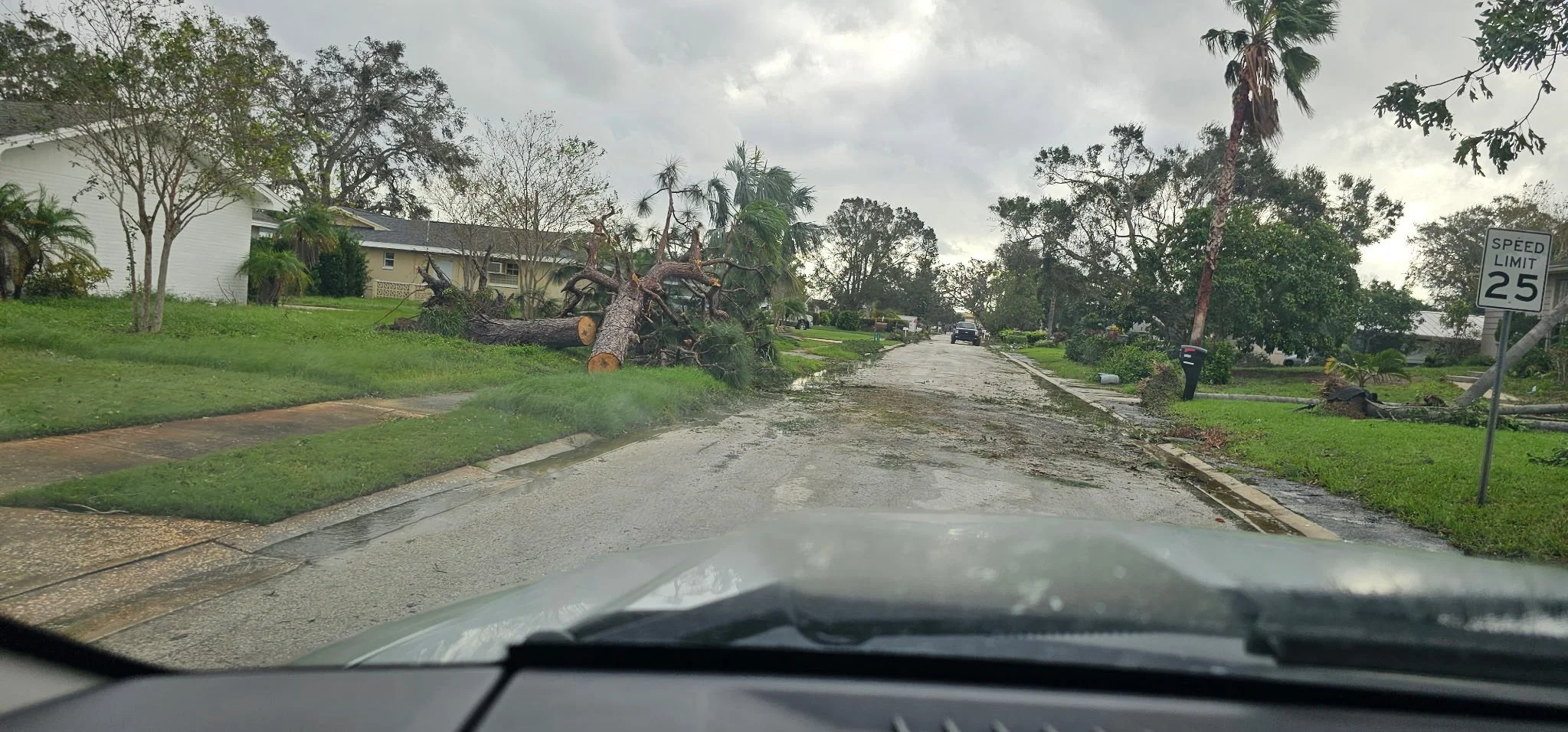 A fallen tree blocking a residential street after a storm with debris and wet pavement, and a speed limit sign indicating 25 miles per hour.