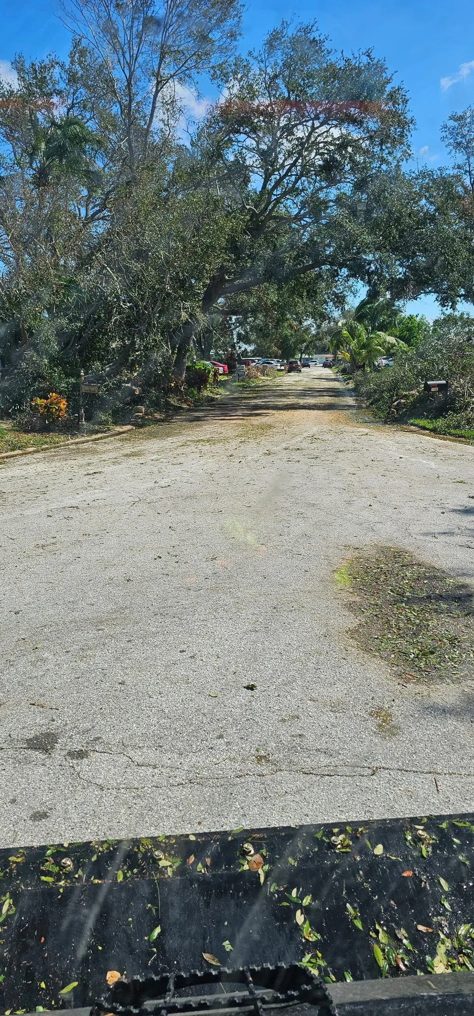 A dirt driveway lined with trees and bushes, with parked cars visible at the end of the driveway under a clear blue sky.