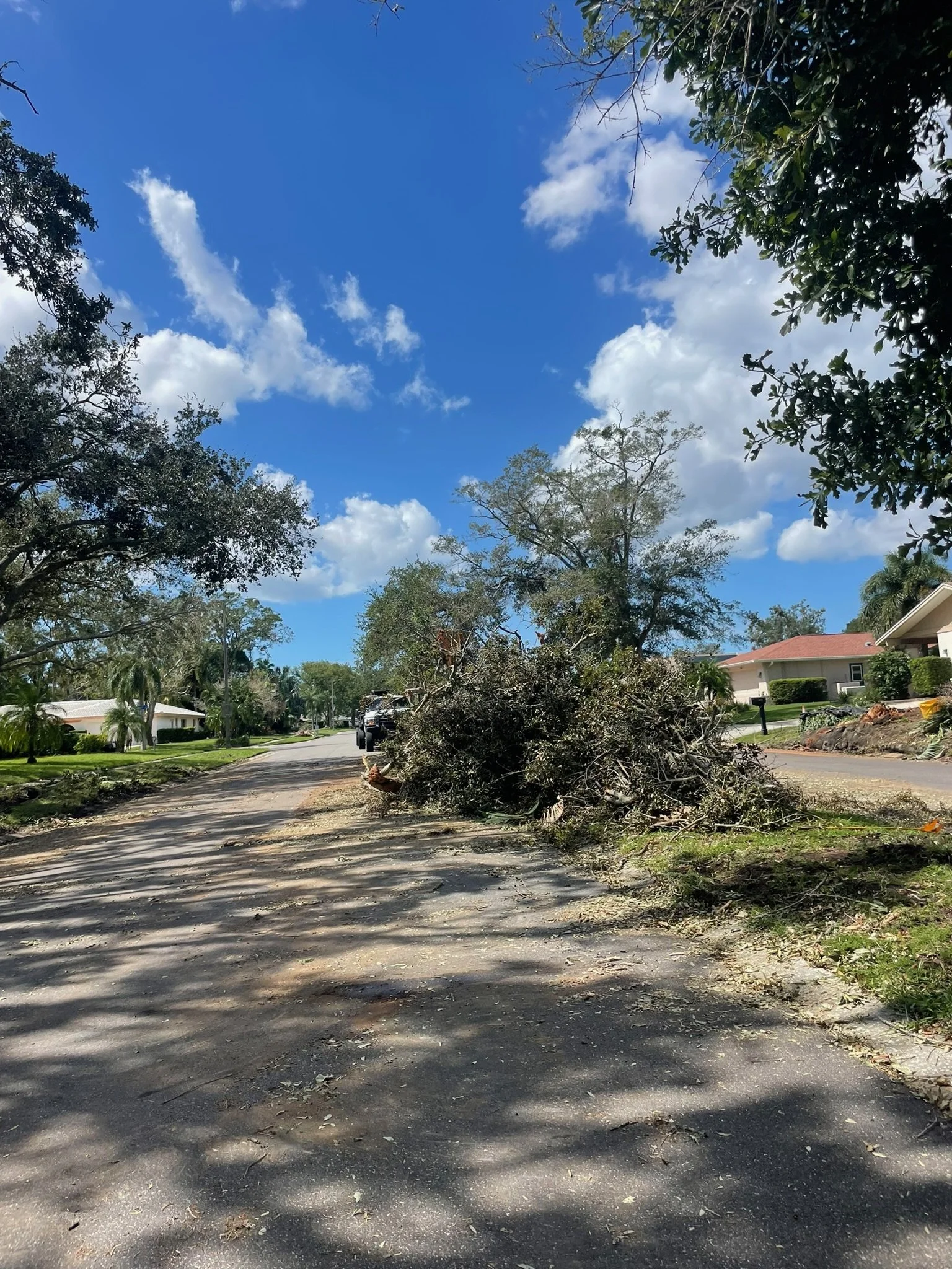 A residential neighborhood street with trees and houses, where a tree limb has fallen and is blocking part of the road. The sky is blue with some scattered clouds.