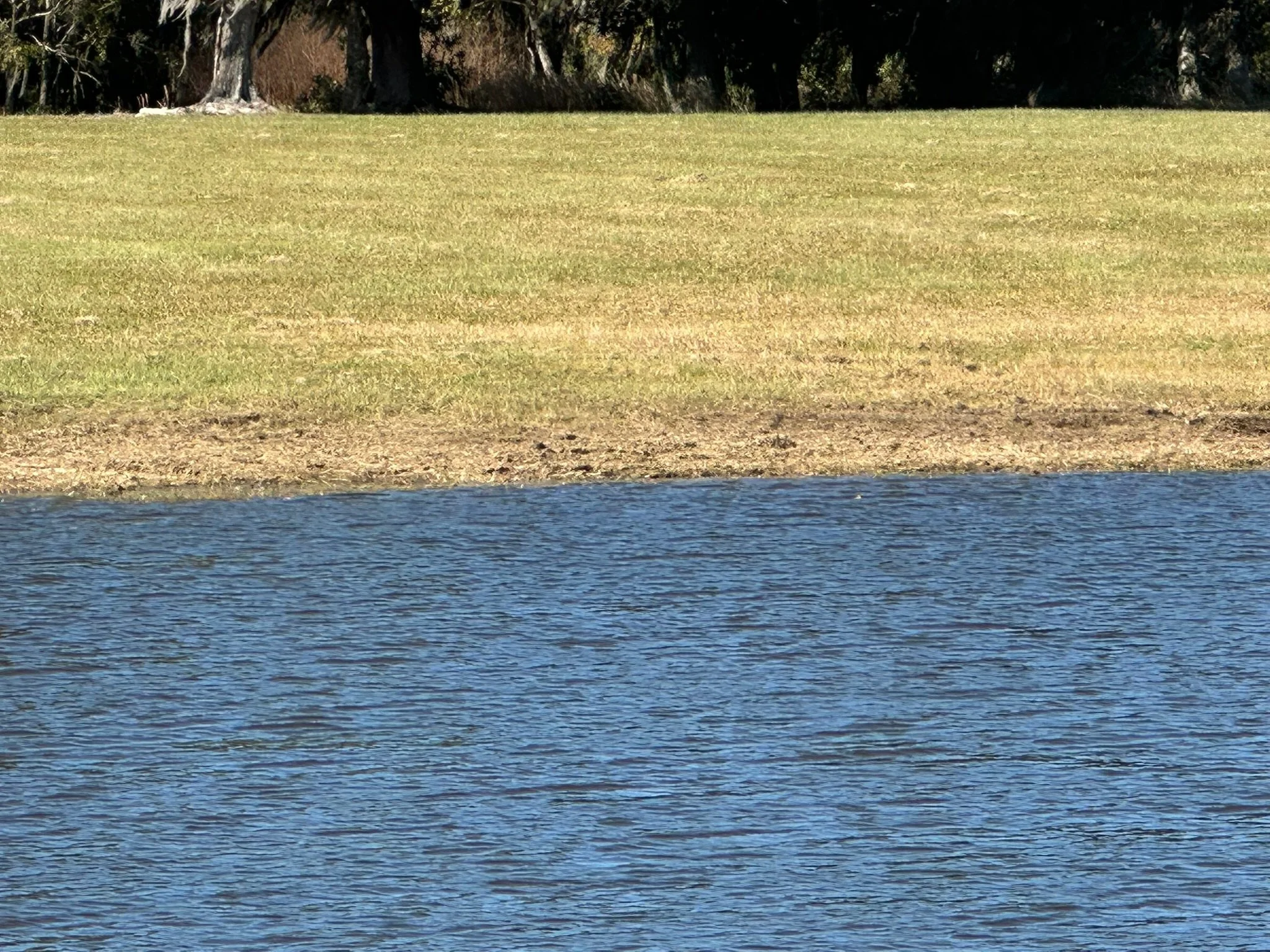 IMG_0179.jpeg