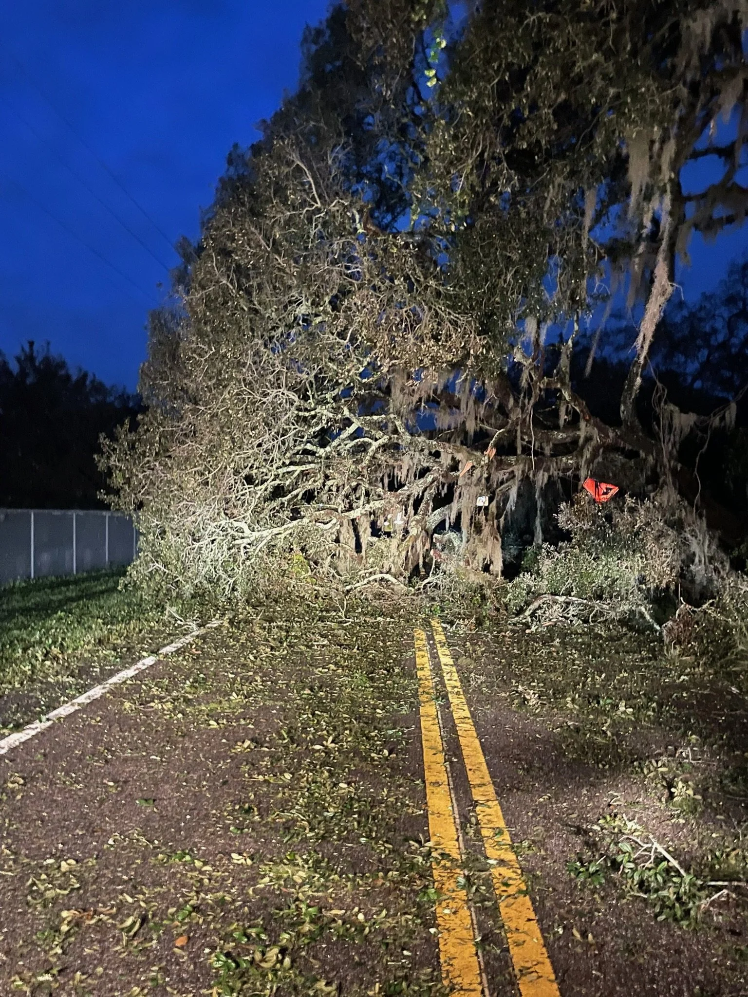 A fallen tree blocking a street at night with debris scattered on the pavement, illuminated by artificial light.