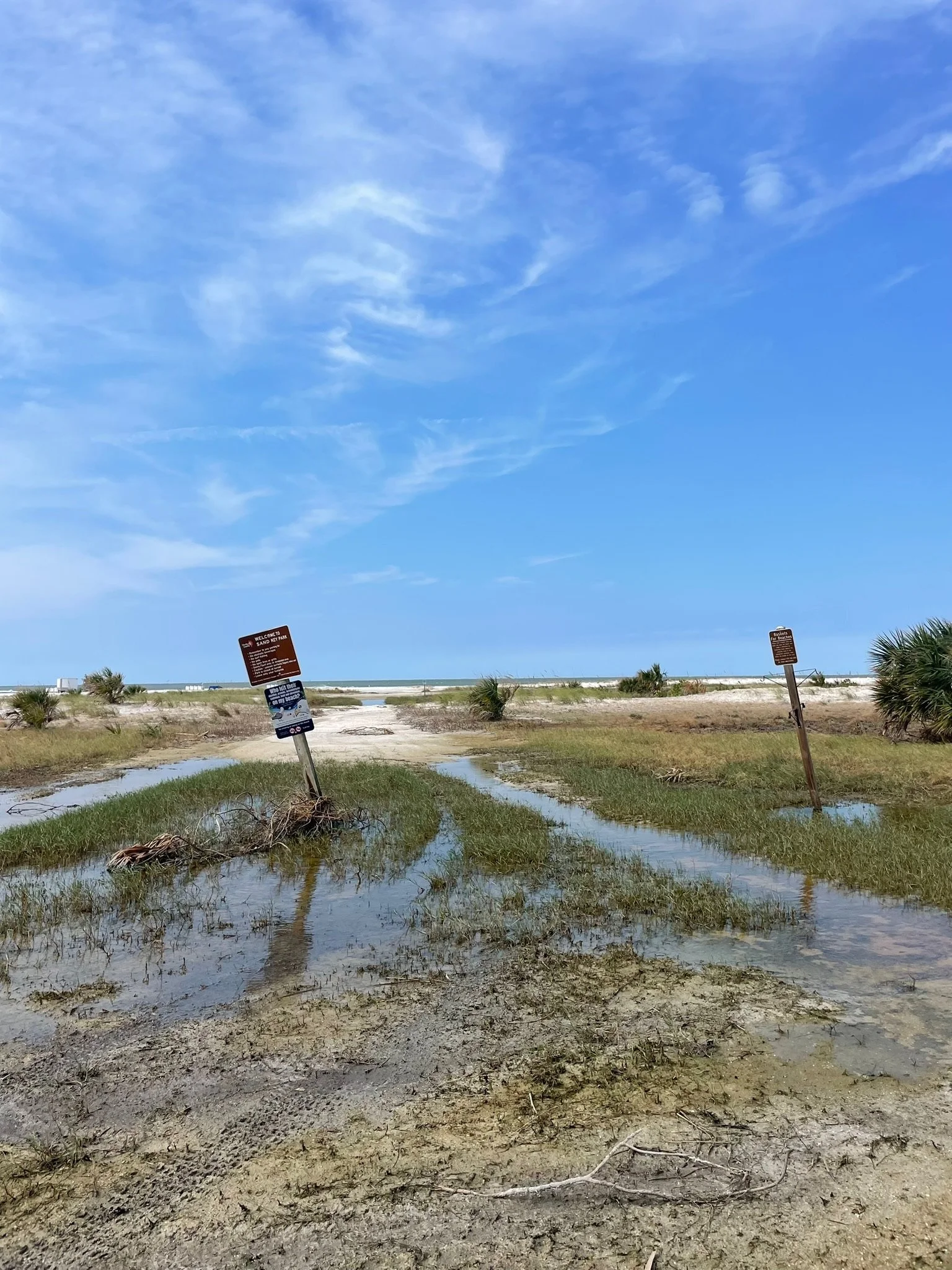 A beach scene with a flooded path, small shrubs, and a clear blue sky with some clouds.