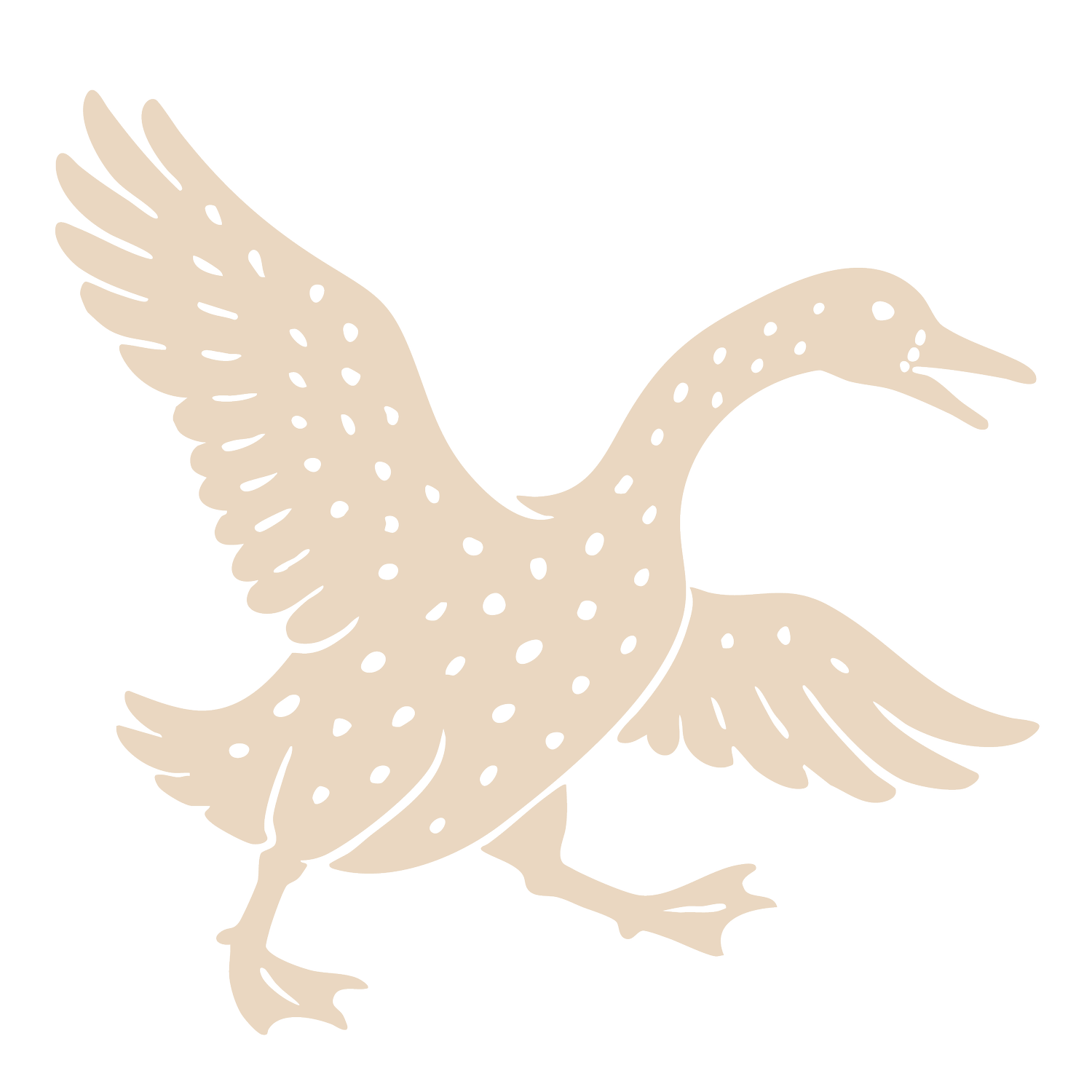 THE GOOSE