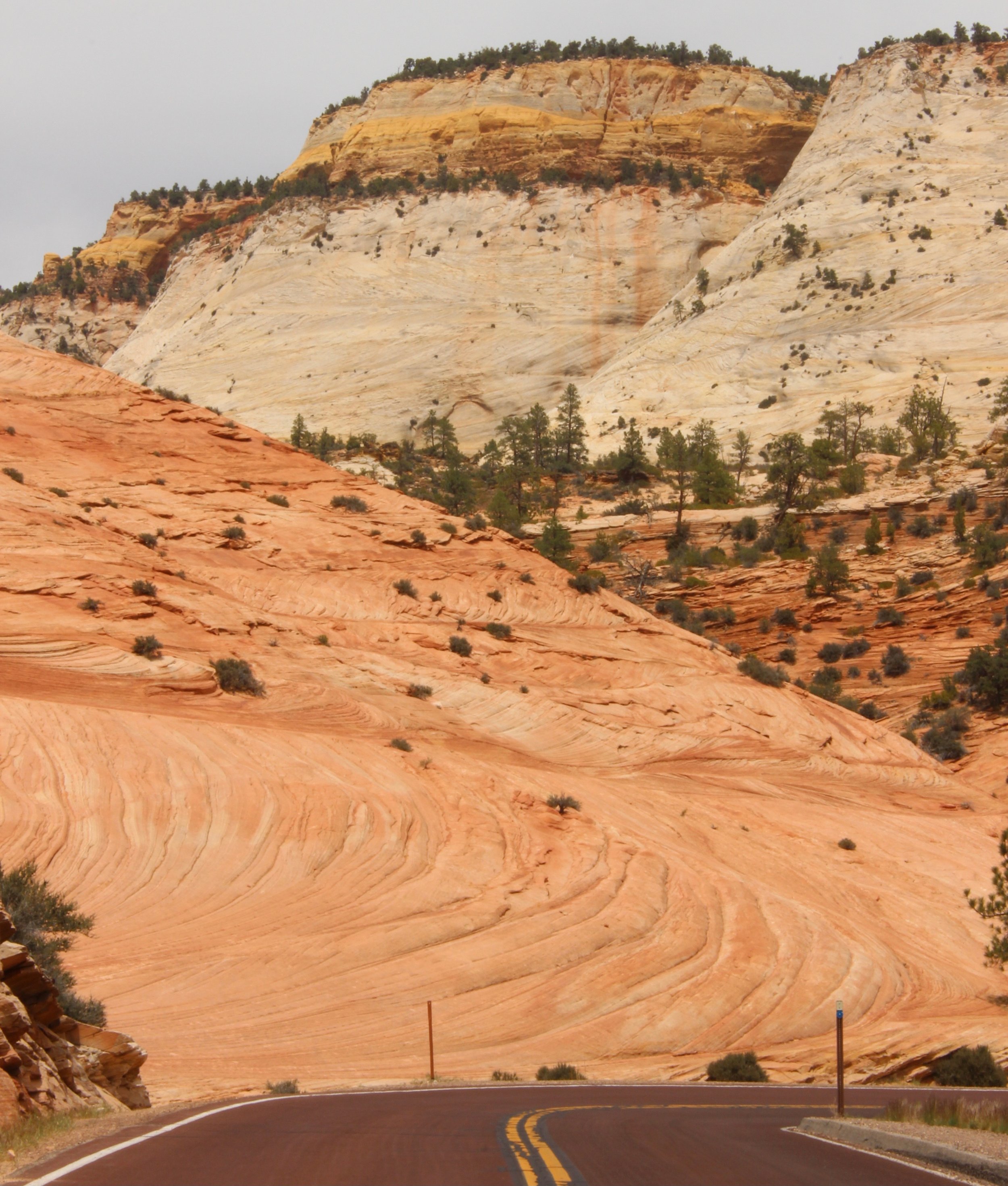 zion swirls / utah