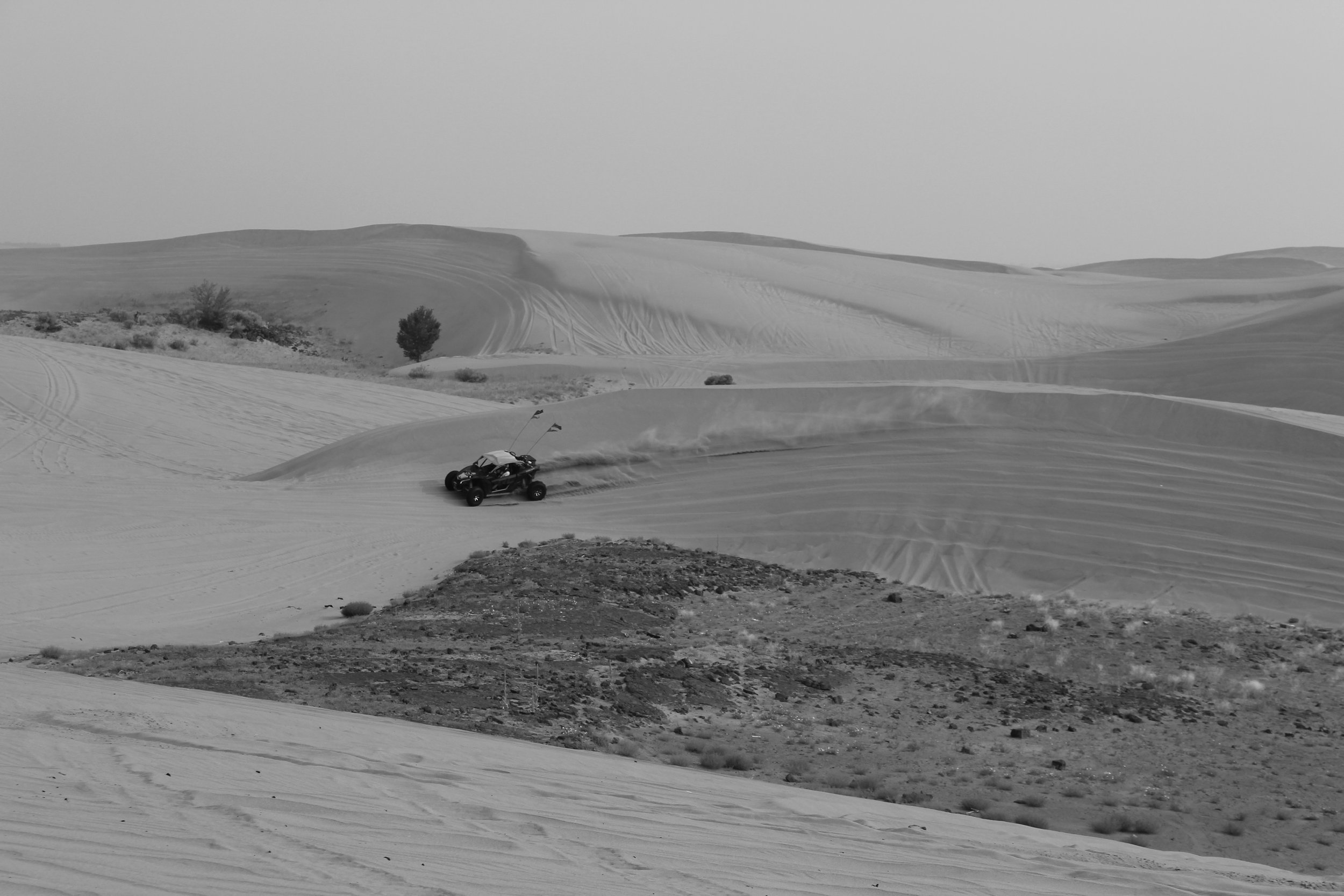 dunes / idaho