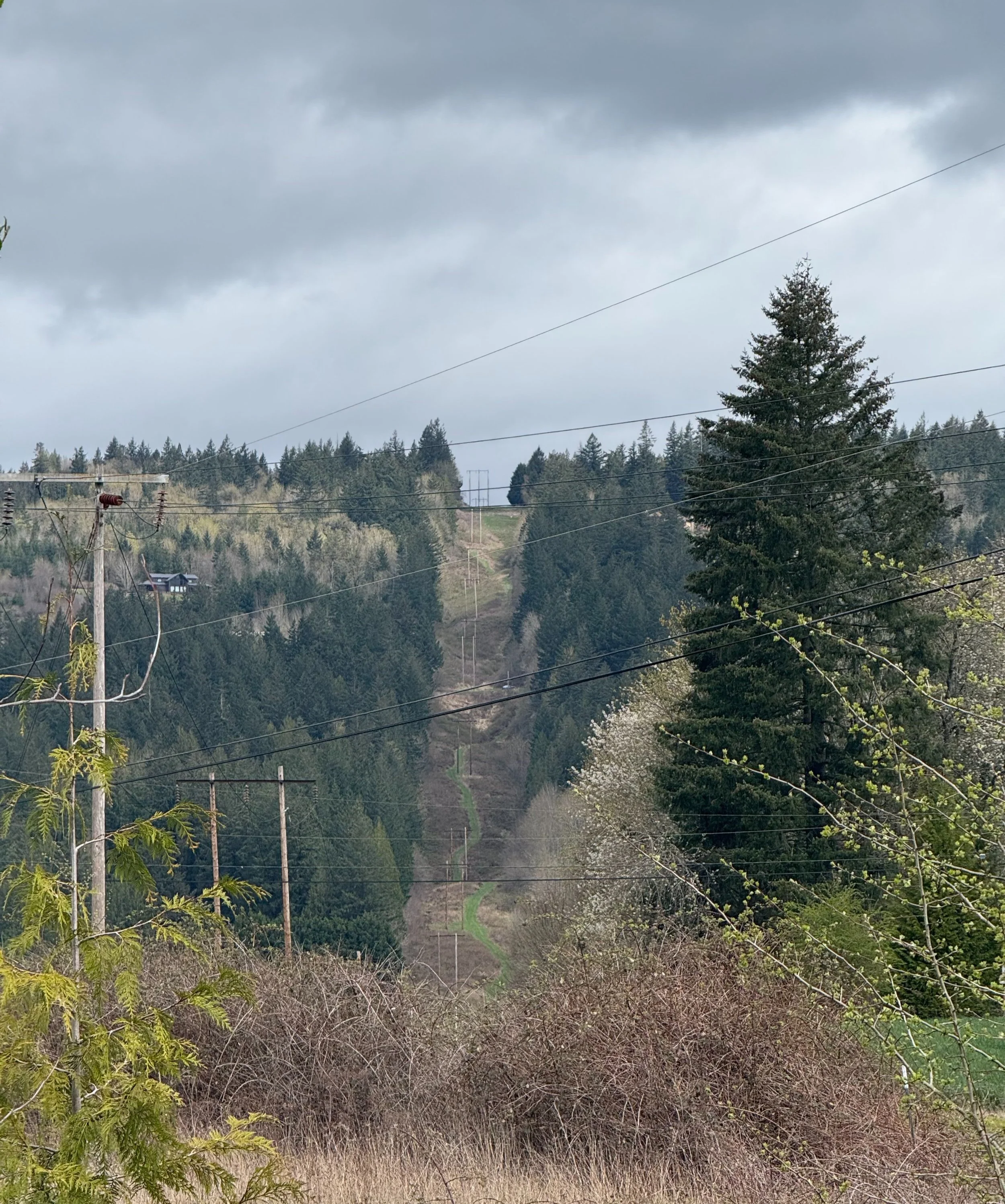 powerline / oregon