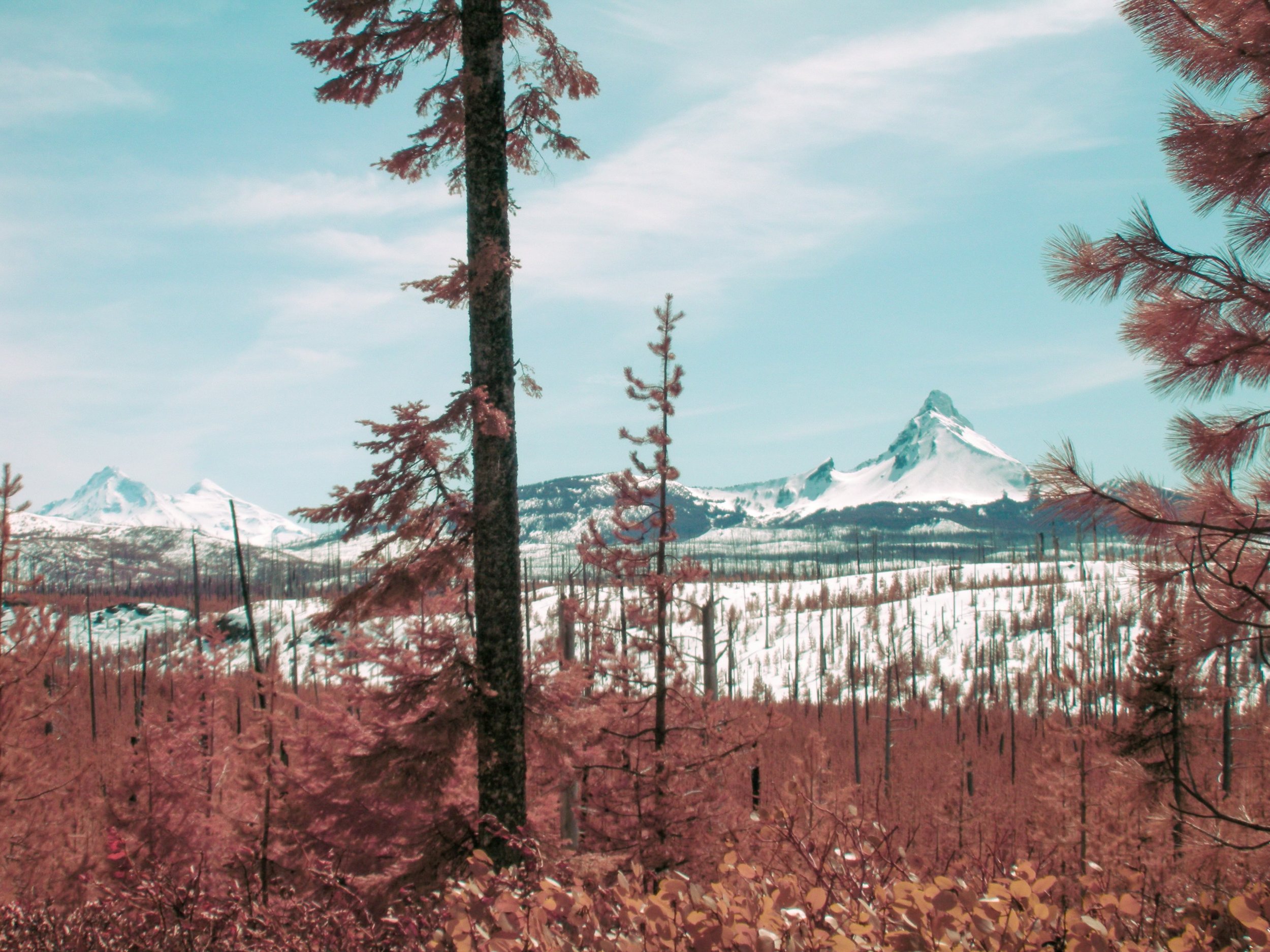 sisters / oregon