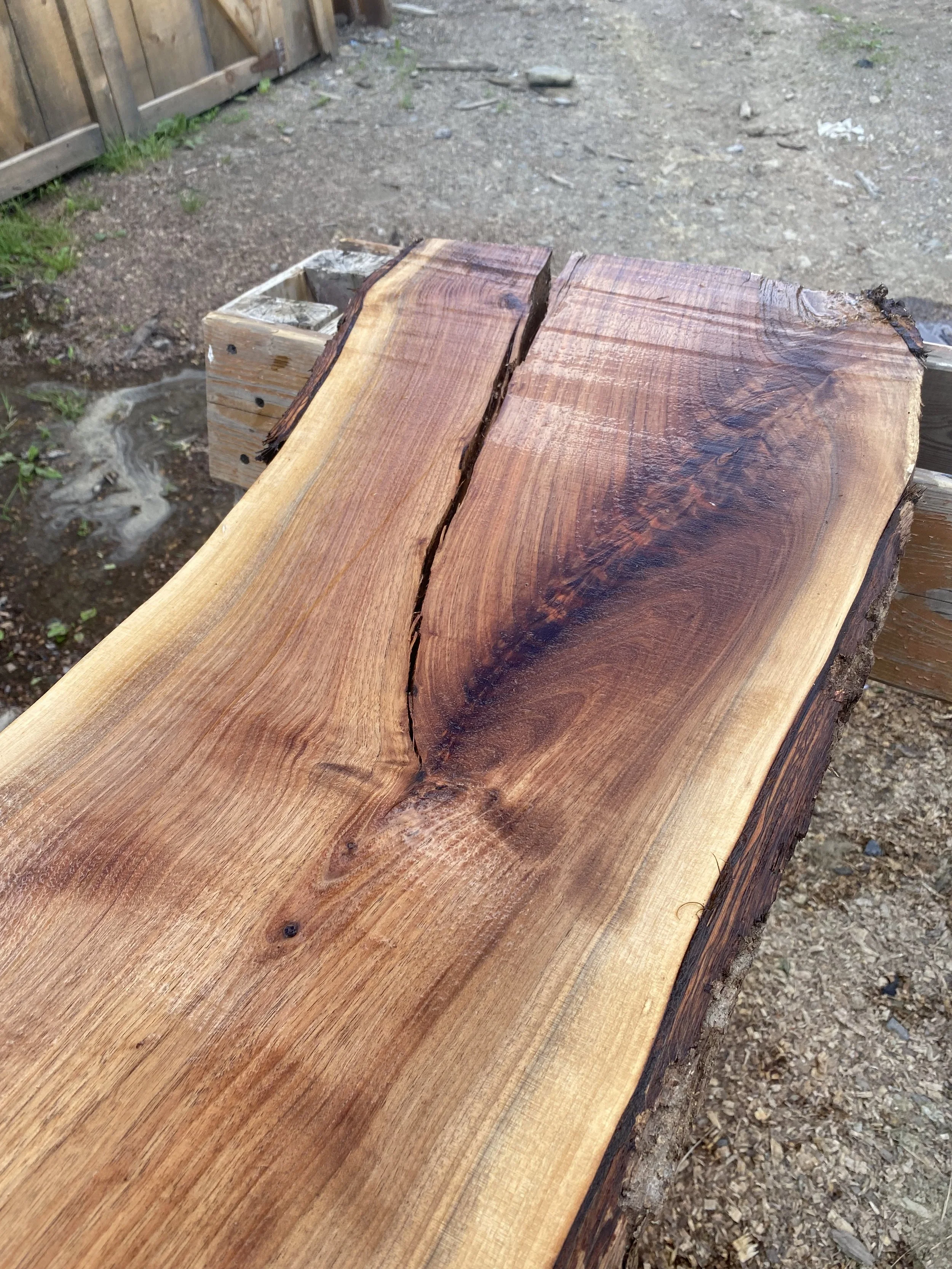 walnut burl / upstate ny