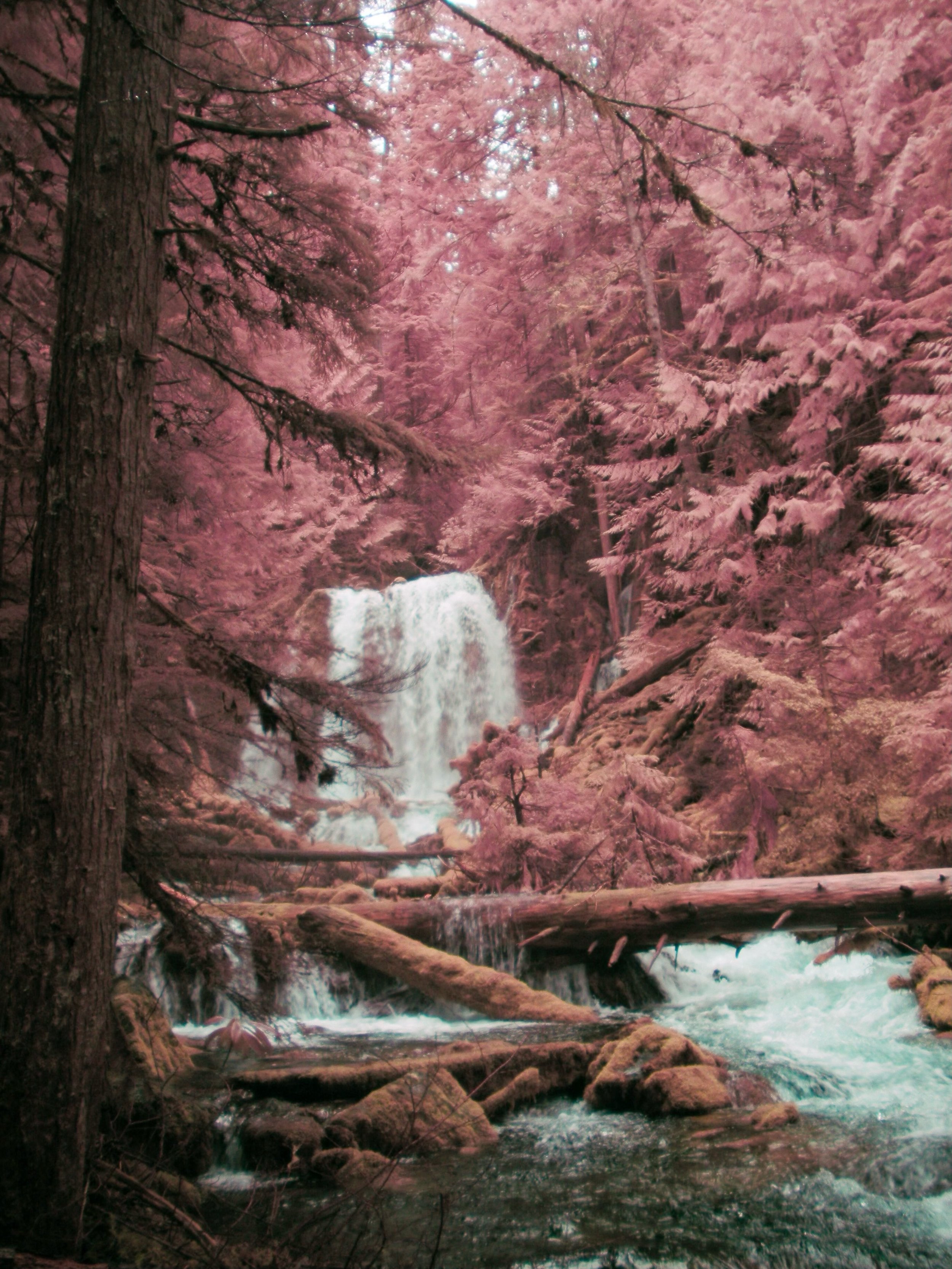 / oregon