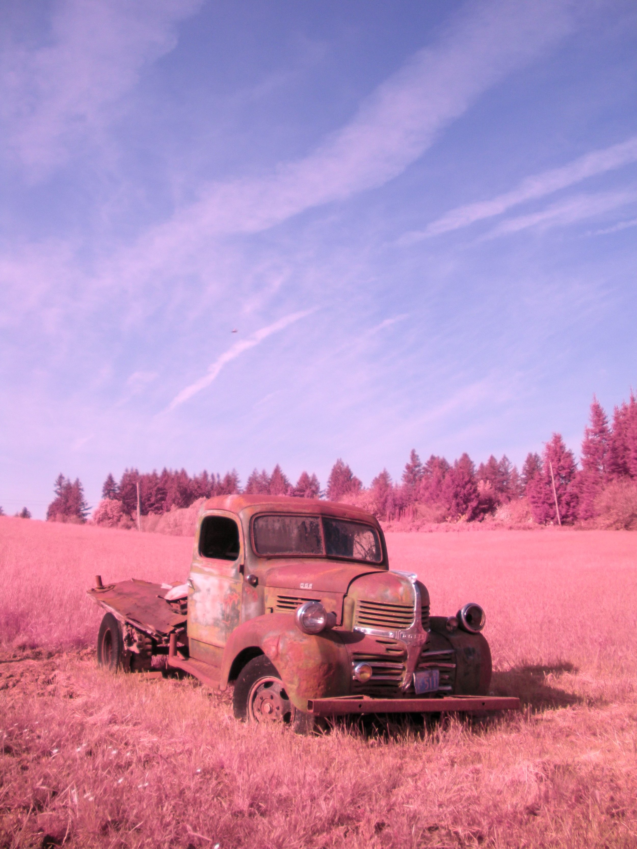 / oregon