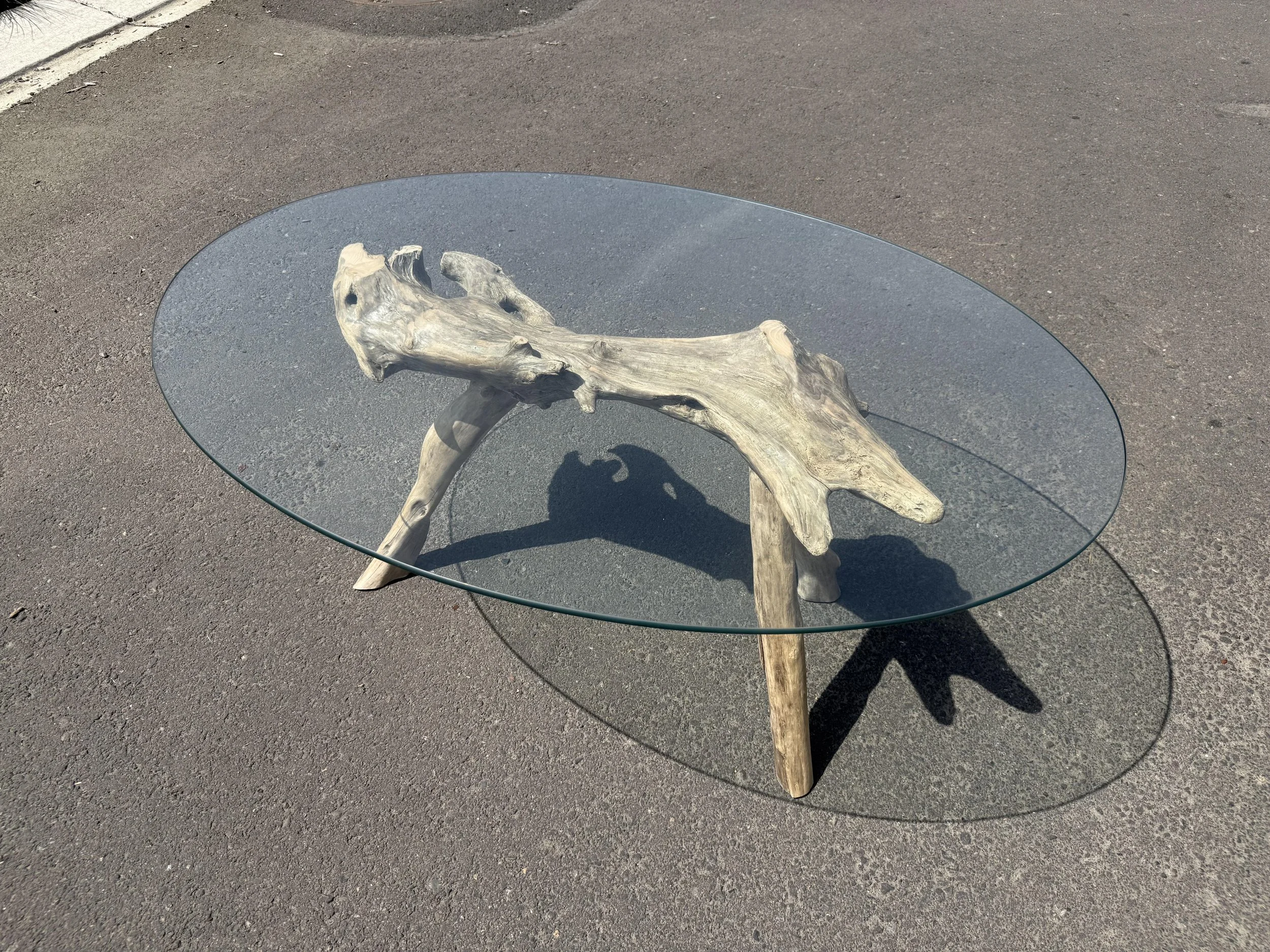 Pinchot's driftwood / 45" x 32" x 18"