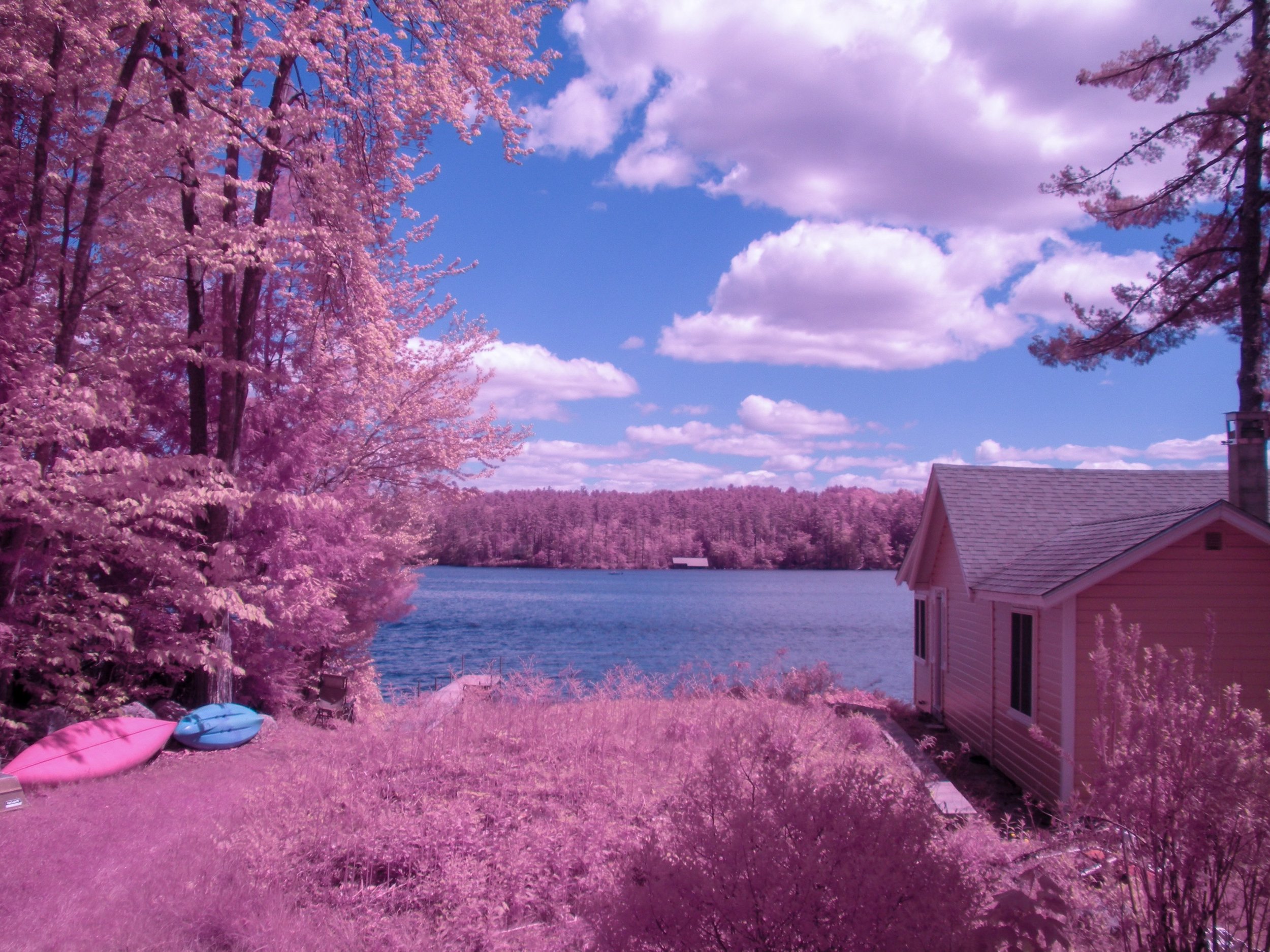 / maine