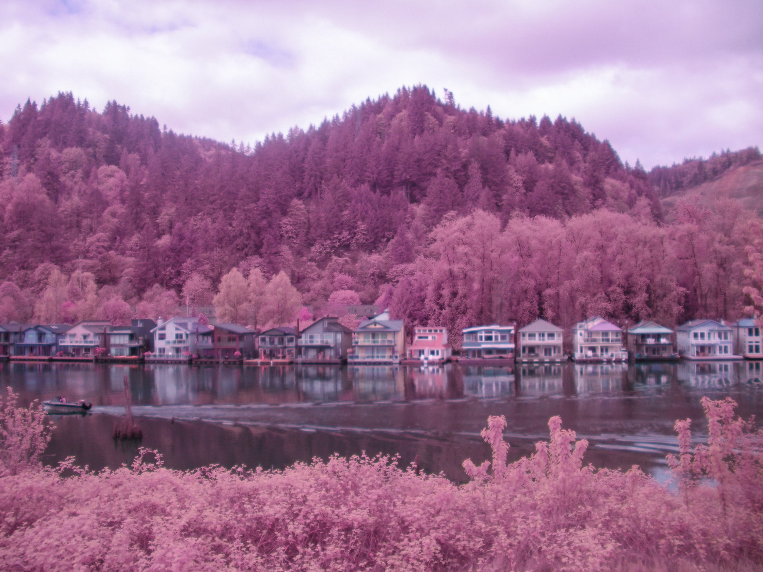 / oregon