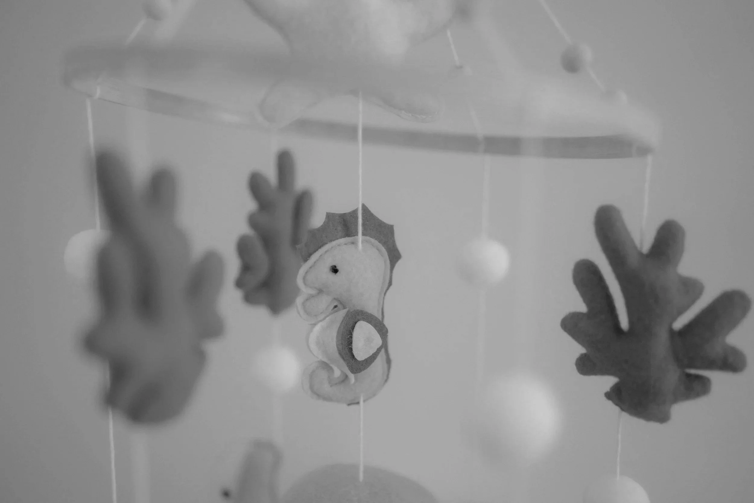 The Afternoon I Had Everything: A Man and His Daughter