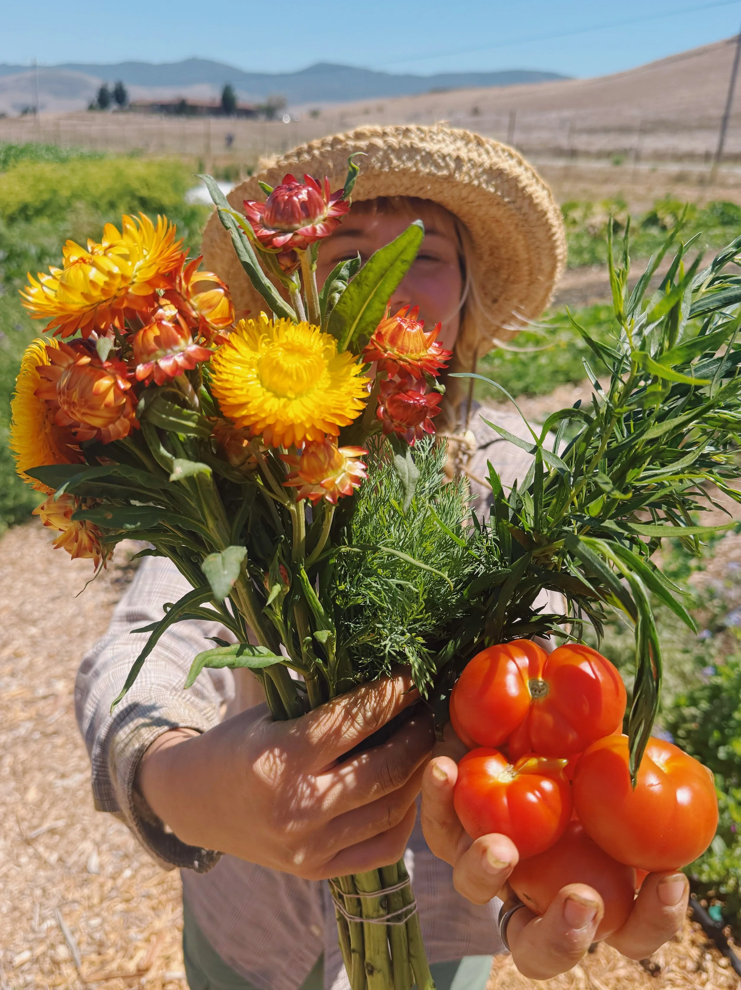 tomatoes organic