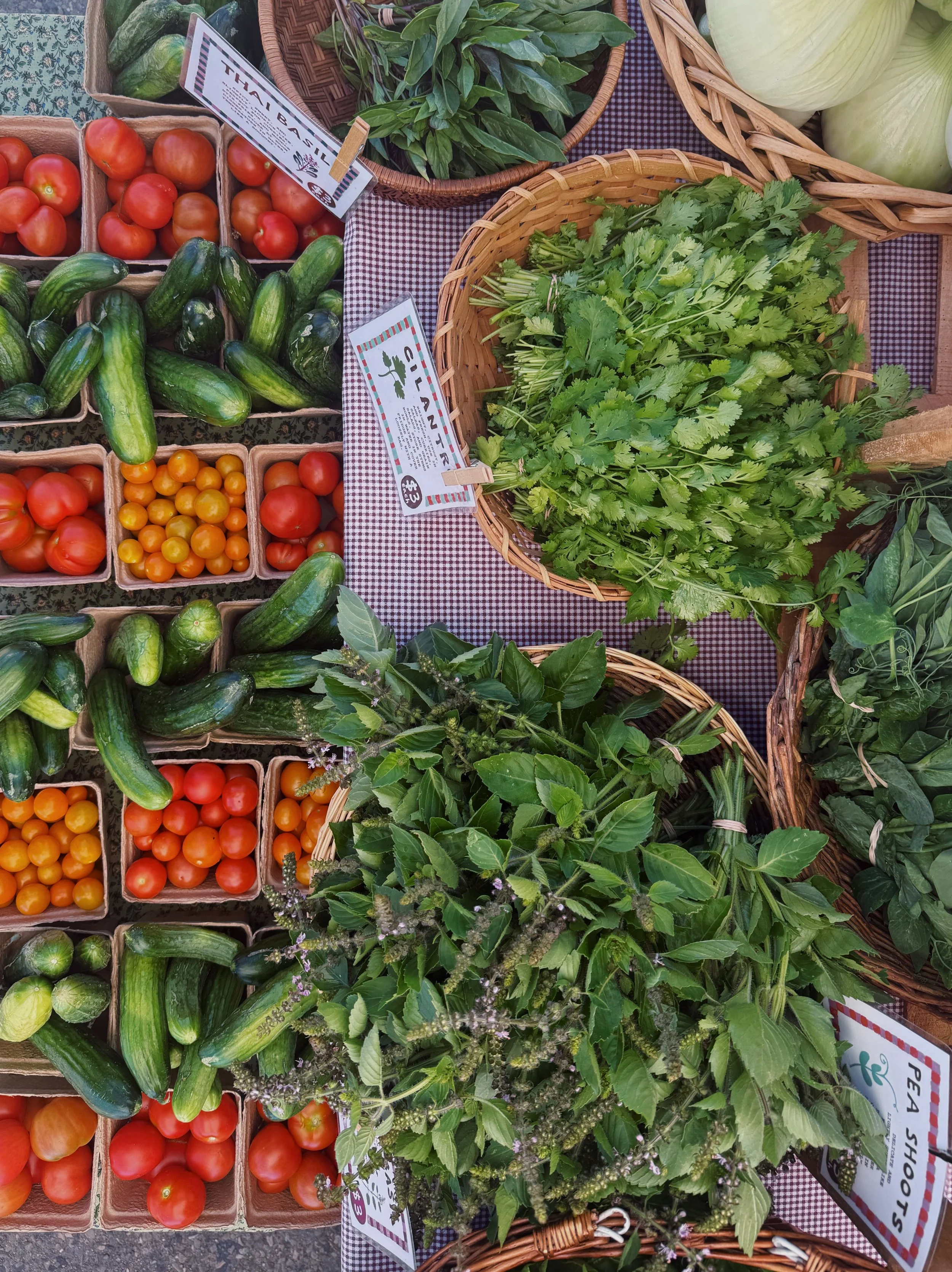 fresh herbs at the market