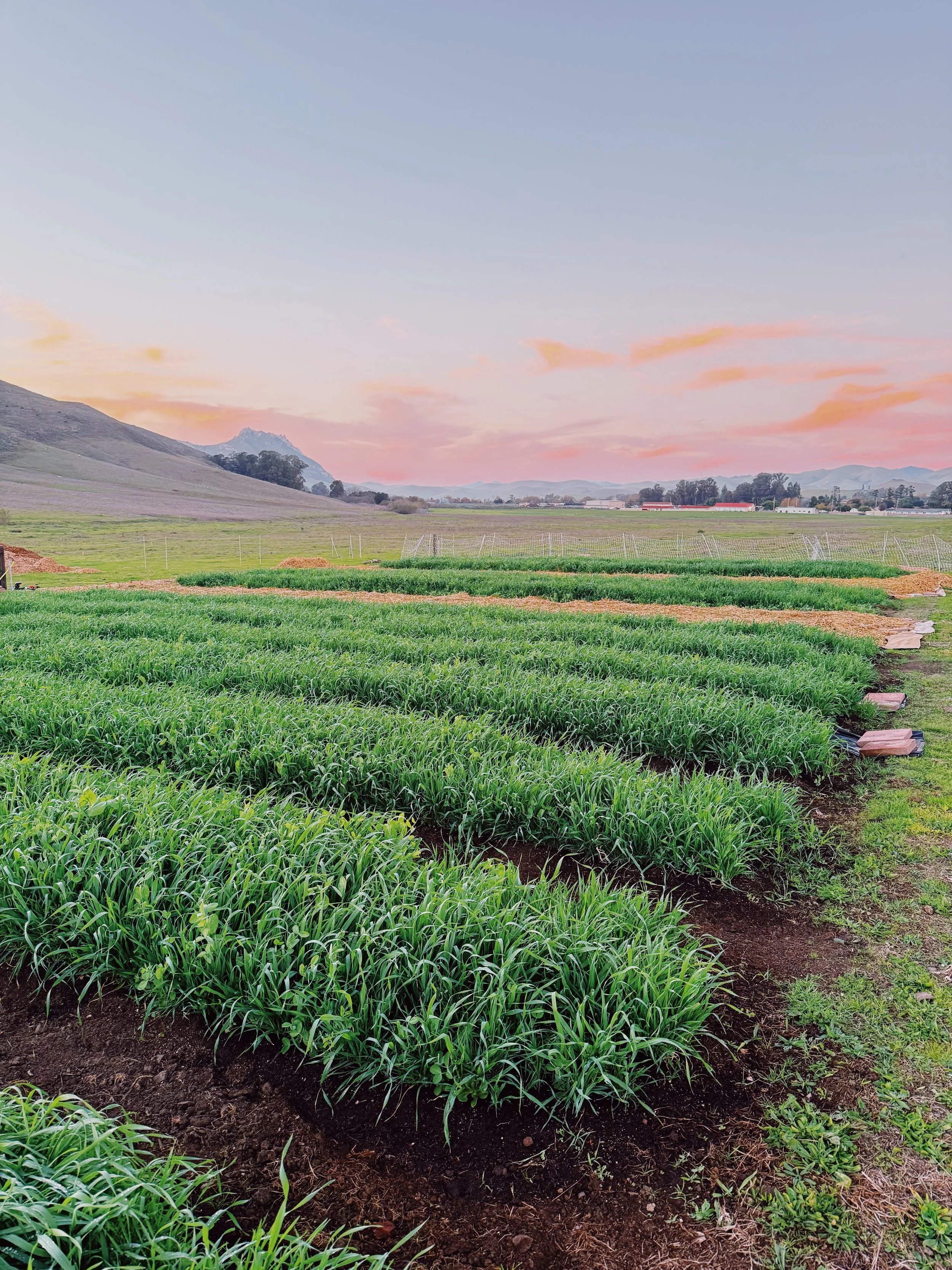 Winter Work &amp; Seed Dreams